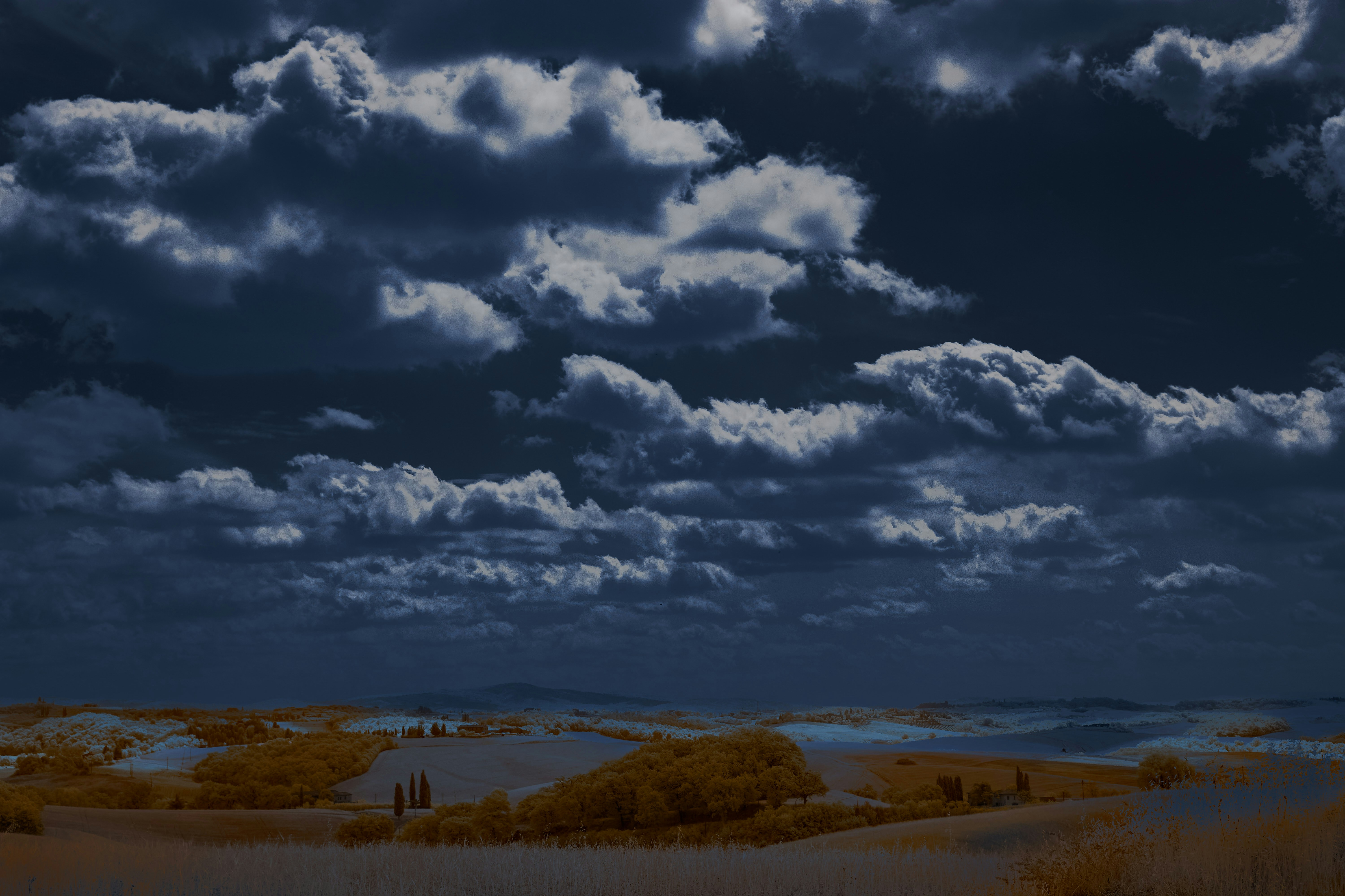 Photo by wolfgang_hasselmann