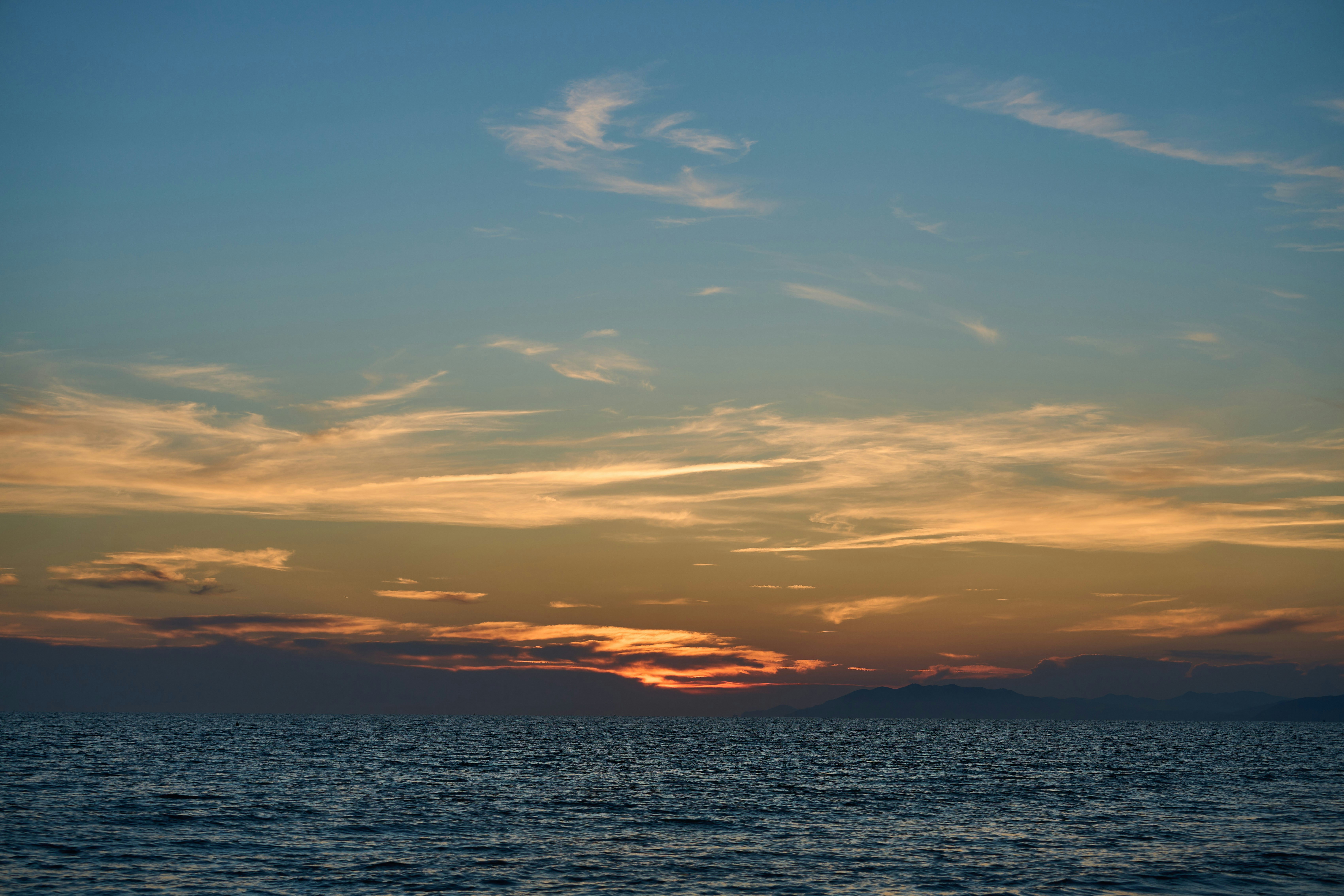 Photo by wolfgang_hasselmann