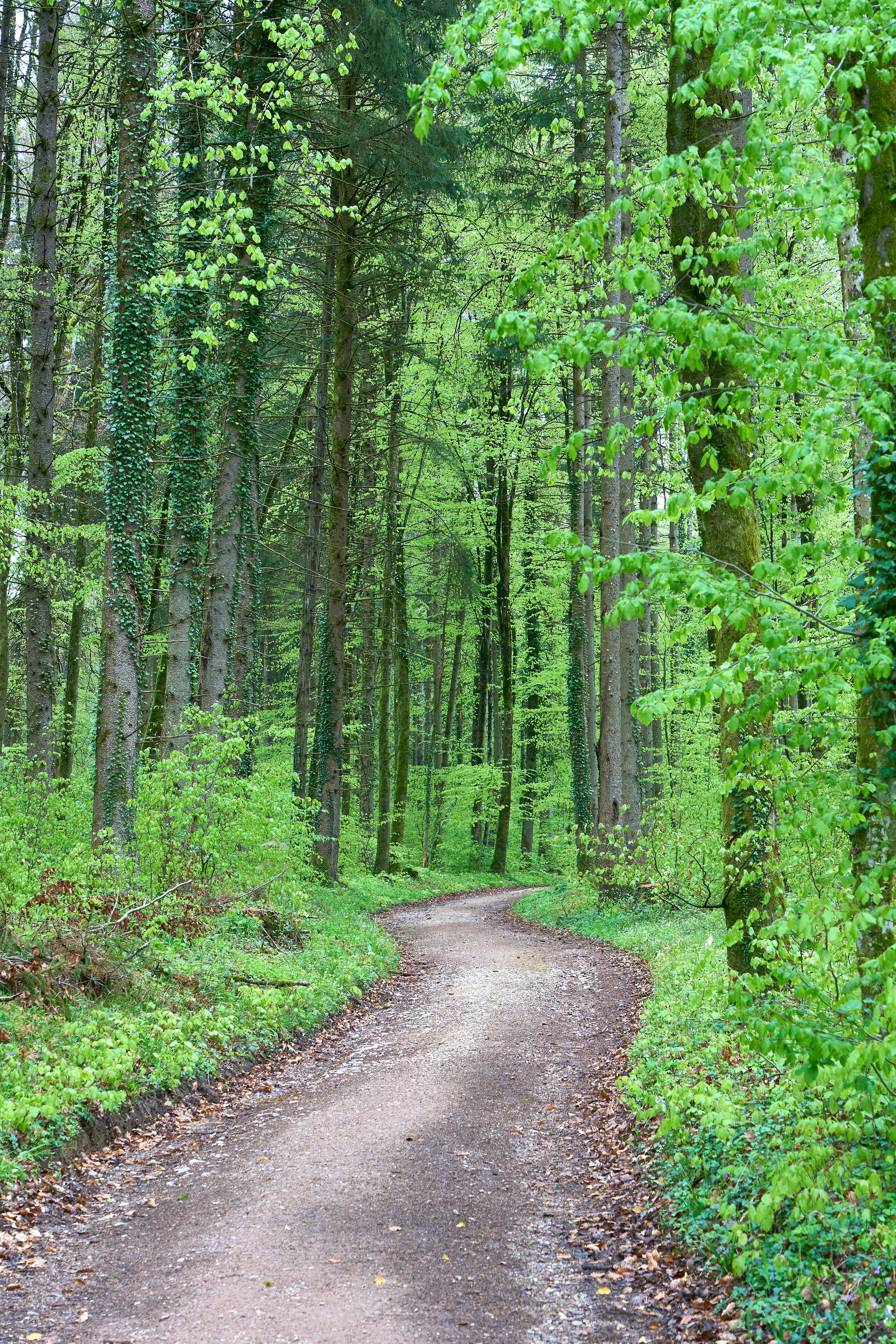 Photo by wolfgang_hasselmann