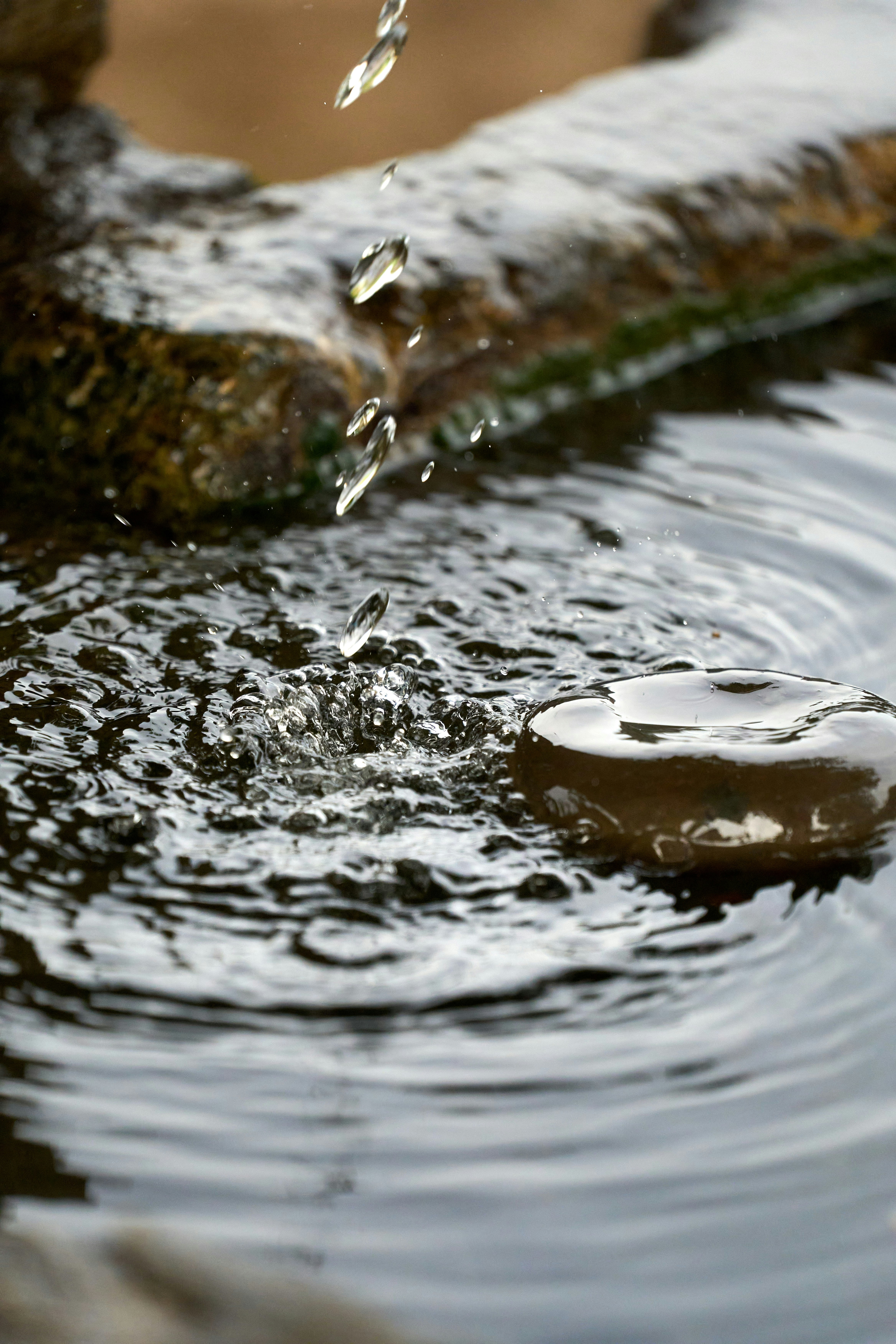 Photo by wolfgang_hasselmann