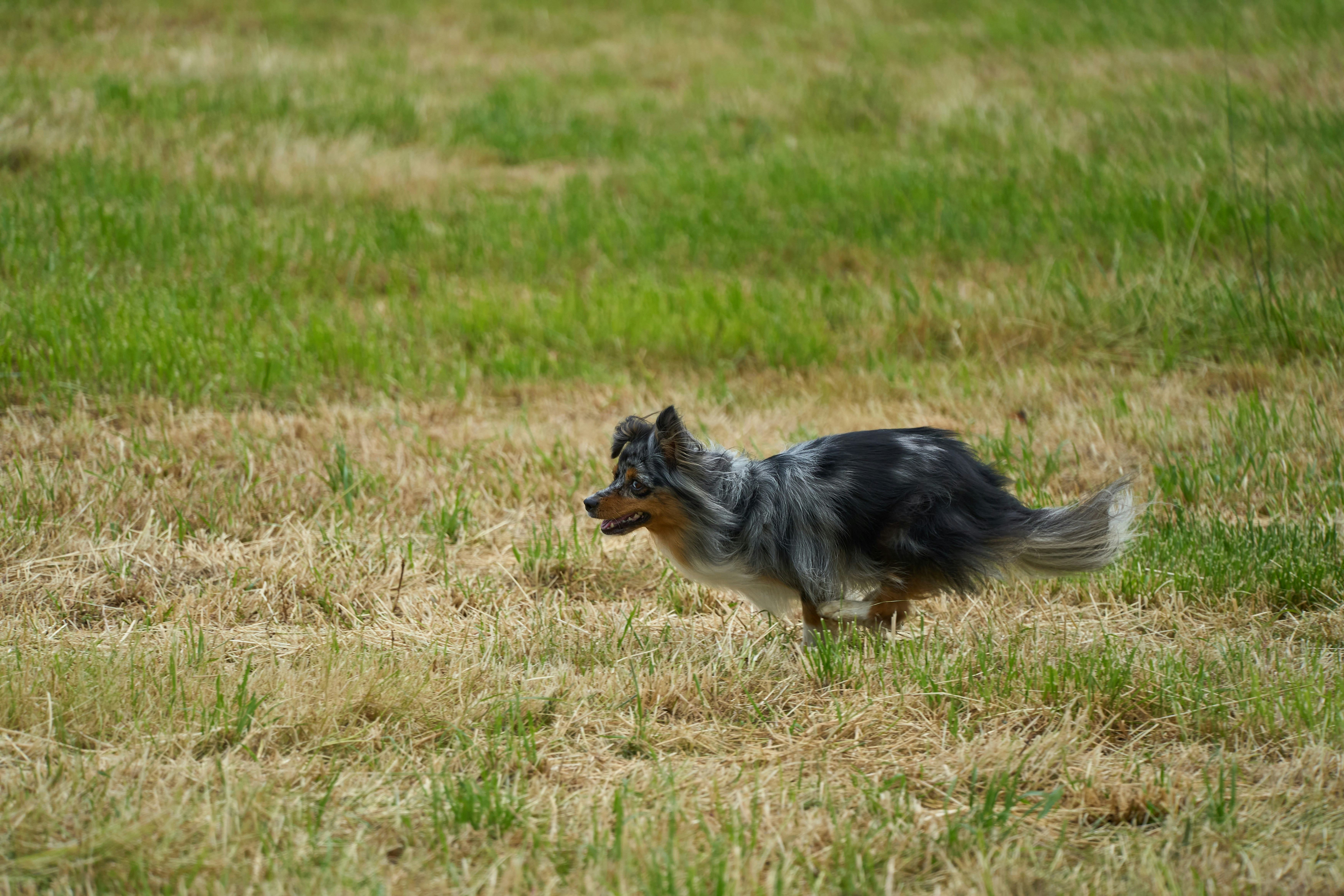 Photo by wolfgang_hasselmann