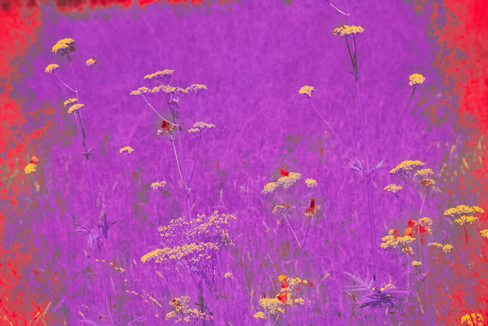 a group of flowers