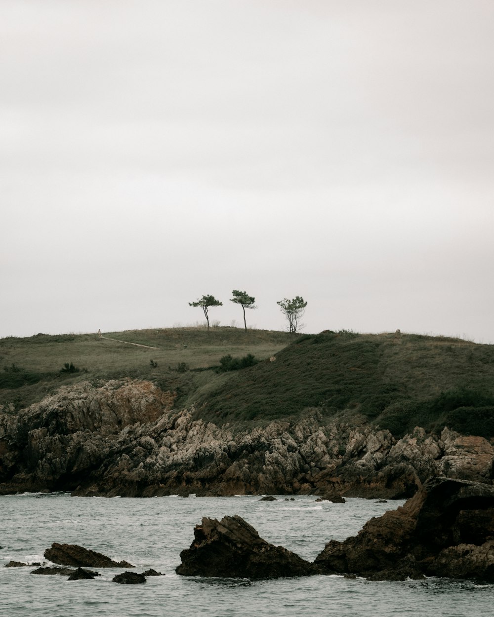 a hill with trees on it