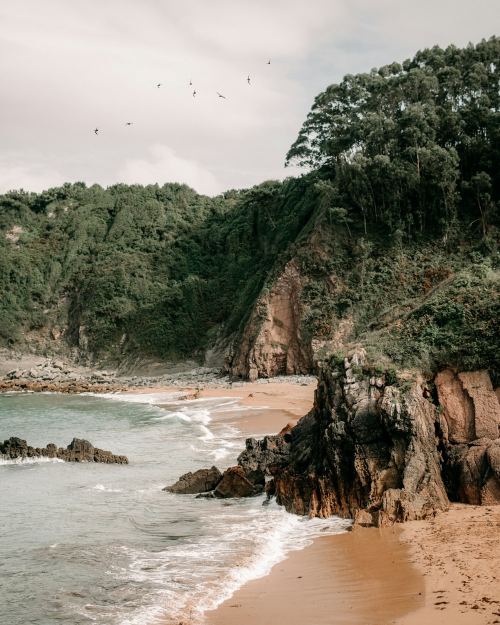 a beach with a cliff and trees