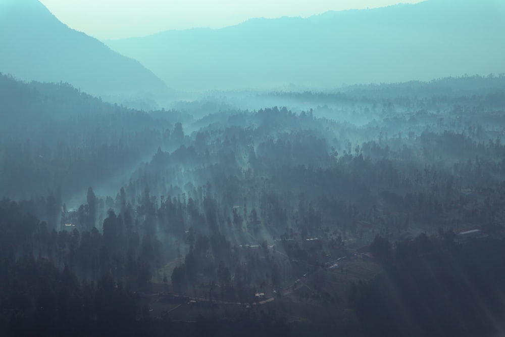 a landscape with trees and hills