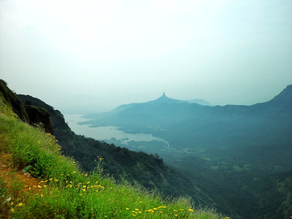 a grassy valley with a mountain in the distance