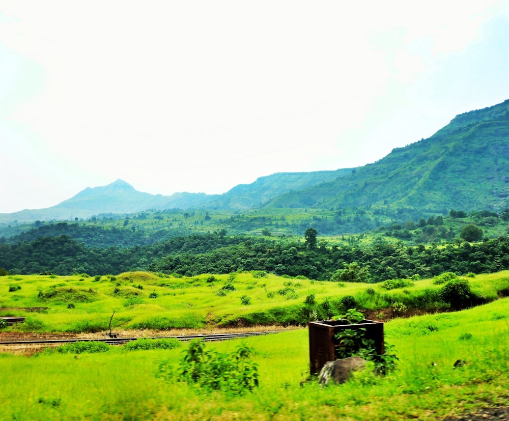 a field with trees and mountains in the background