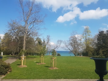 A serene landscape featuring a grassy area with newly planted trees staked for support. Mature trees border the scene, leading to a view of a large body of water under a blue sky with scattered clouds. A paved walkway runs along the grass, and a large urn planter is in the foreground.