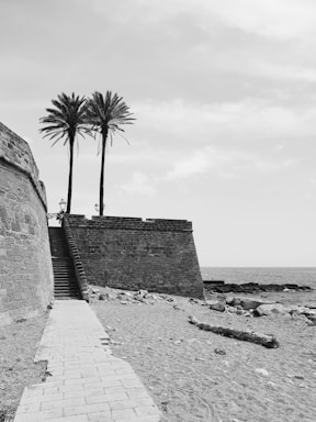 a stone wall with a palm tree and a stone wall by the water