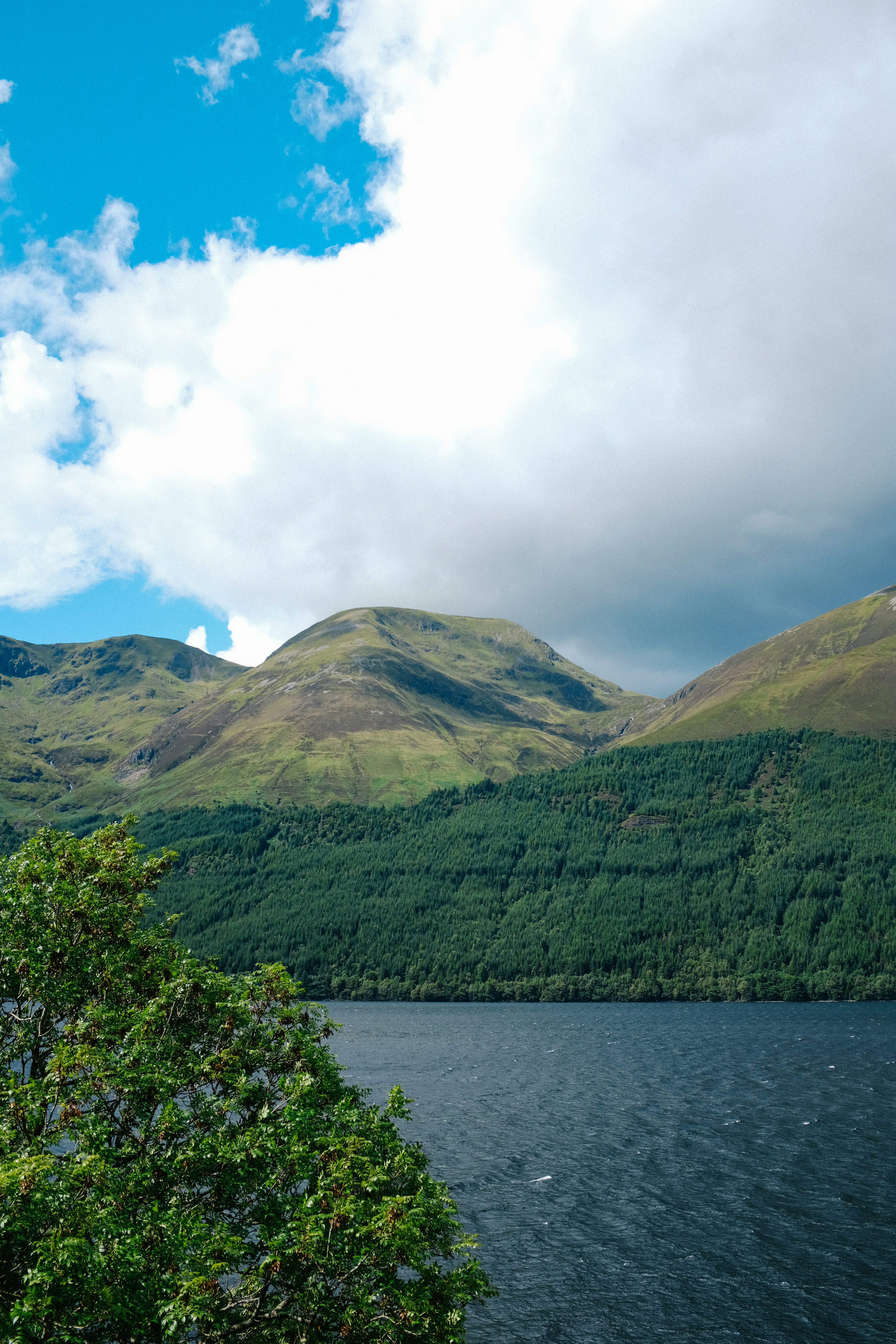 Photo by adrienolichon