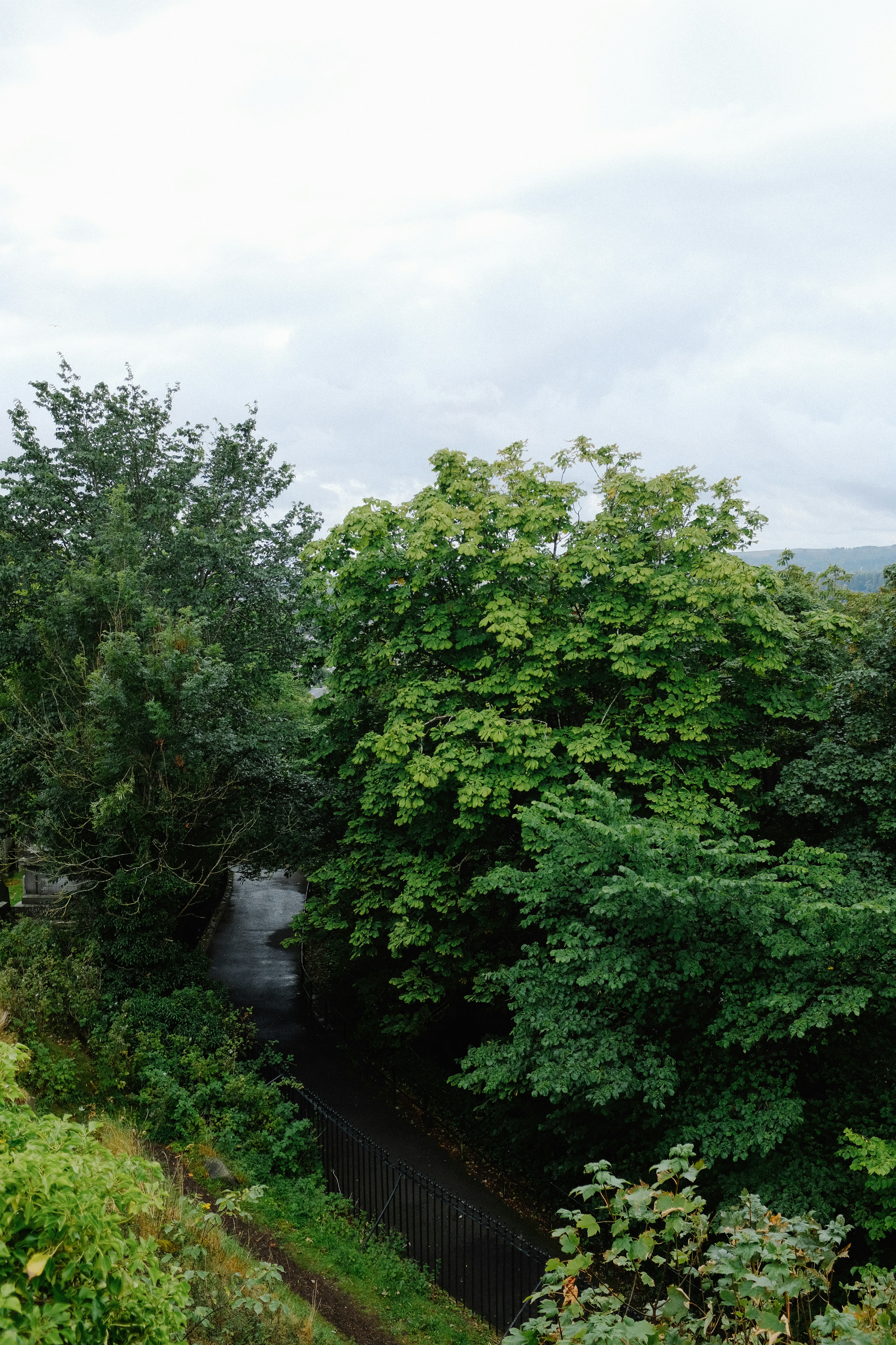 Photo by adrienolichon