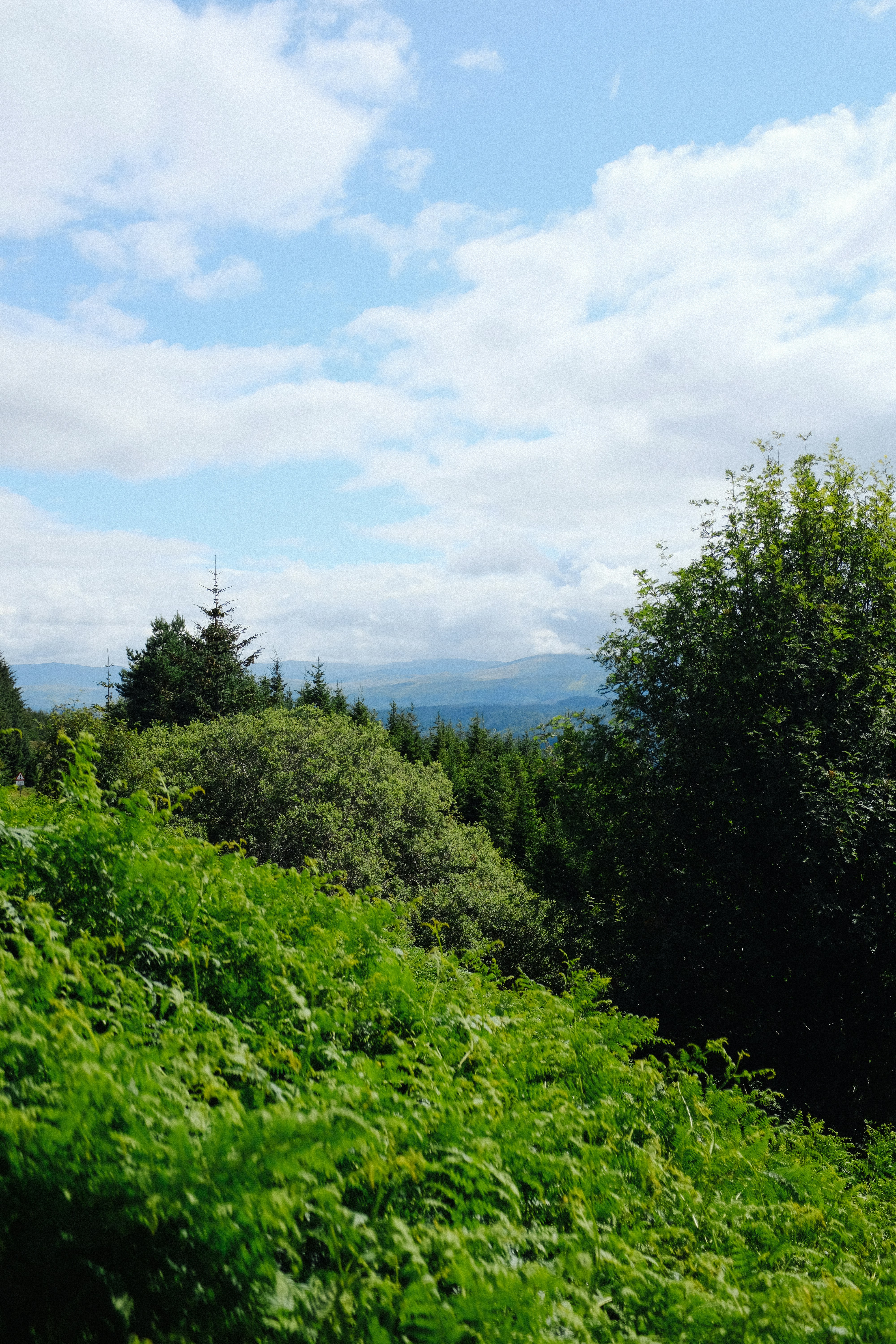 Photo by adrienolichon