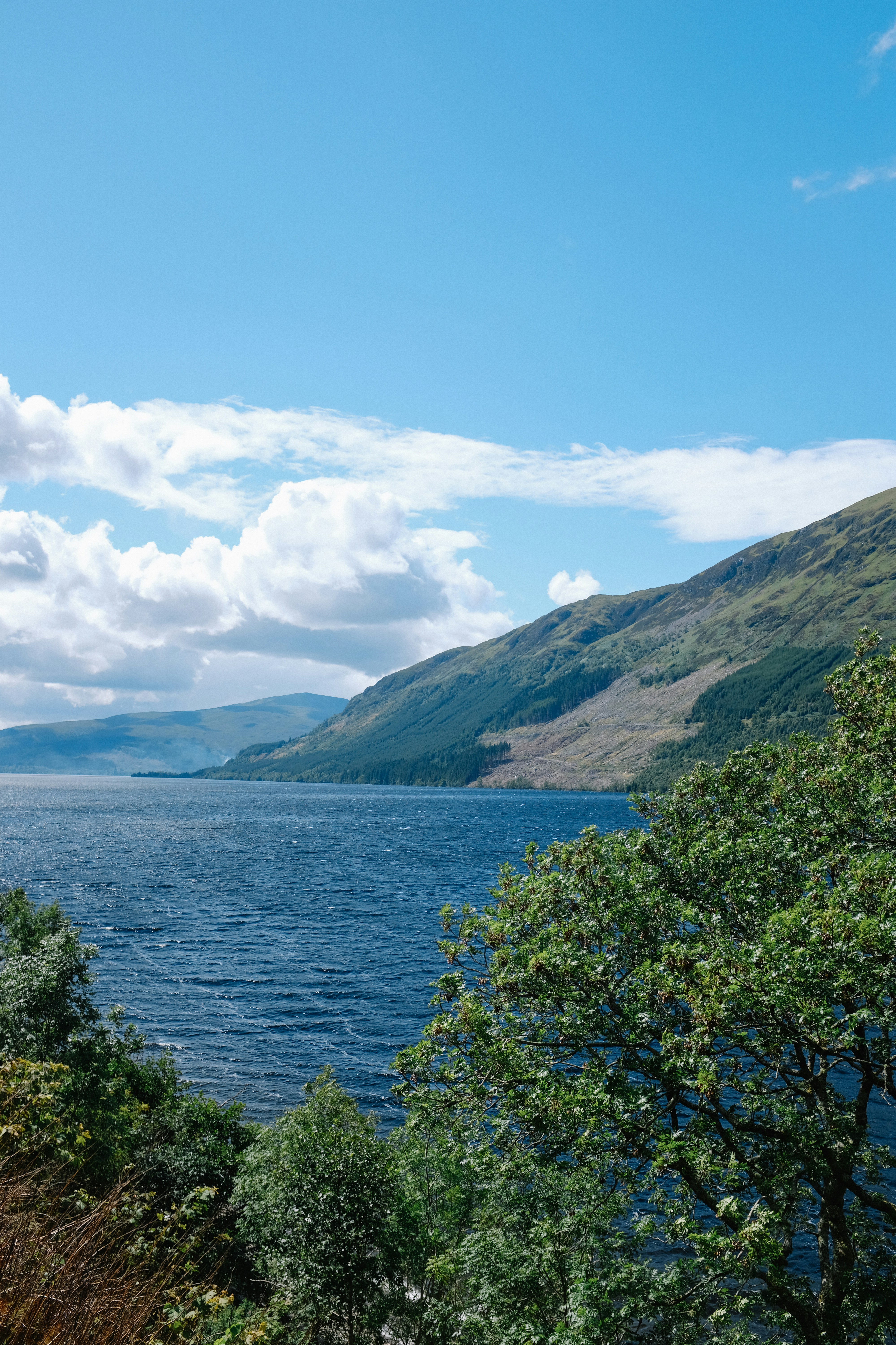 Photo by adrienolichon