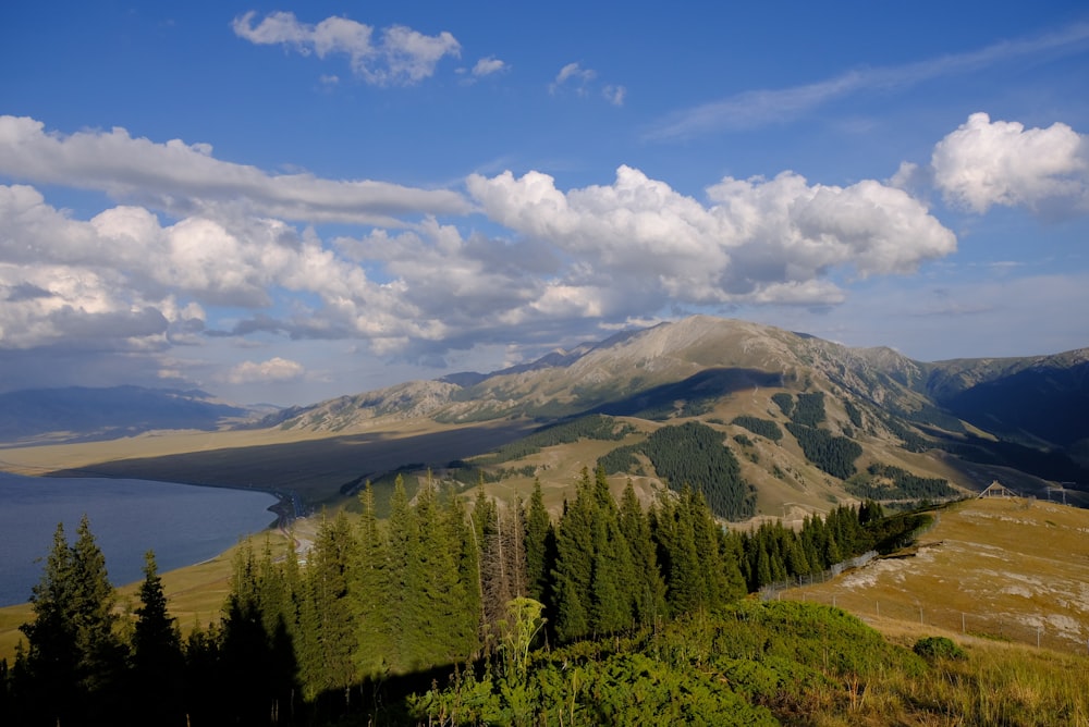 a landscape with trees and a body of water in the background