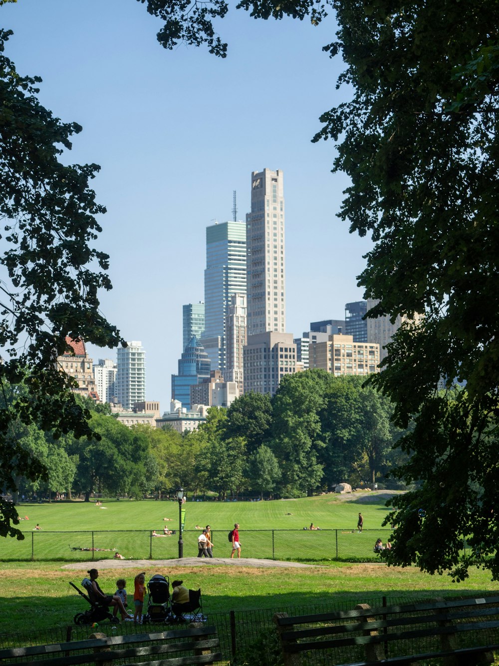 a park with a city in the background