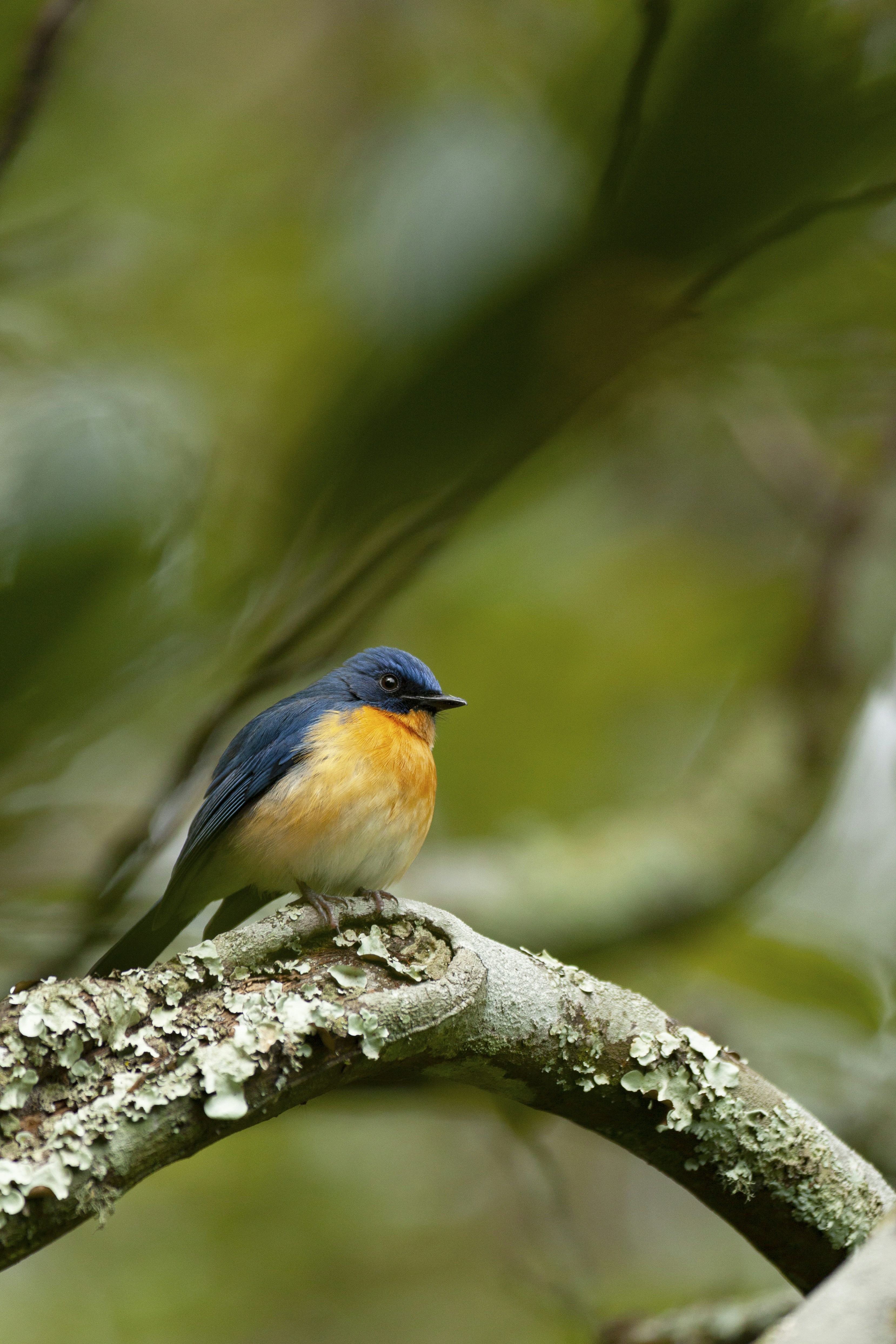 Photo by rohit_varma