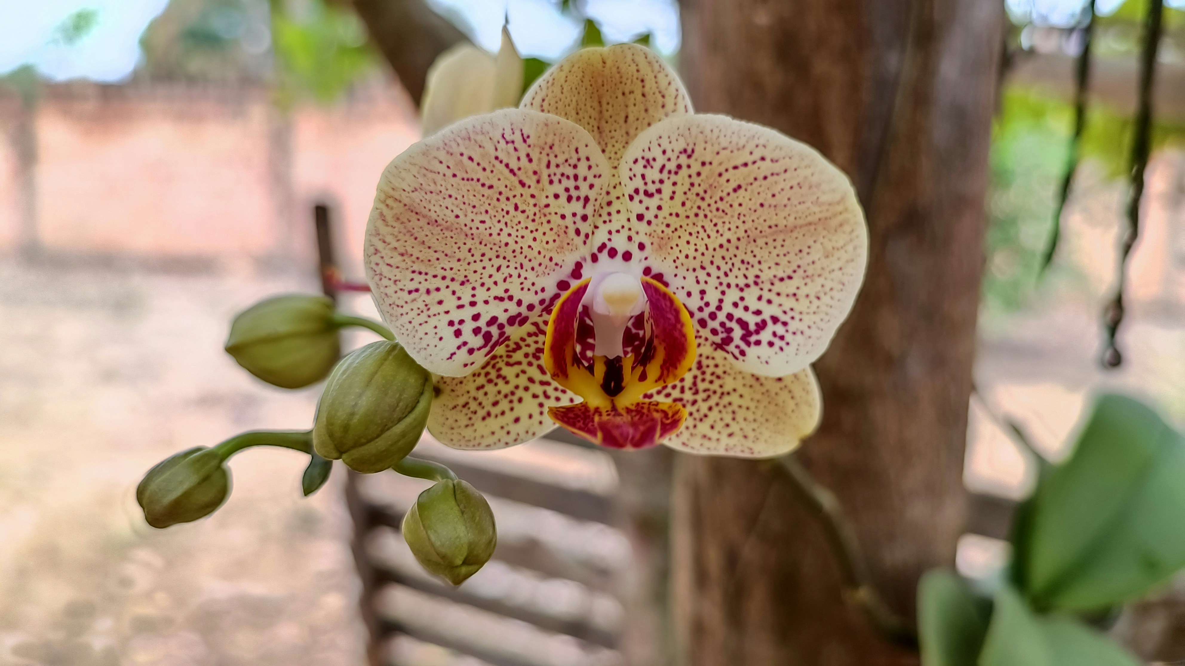 Photo by dienyportinanni