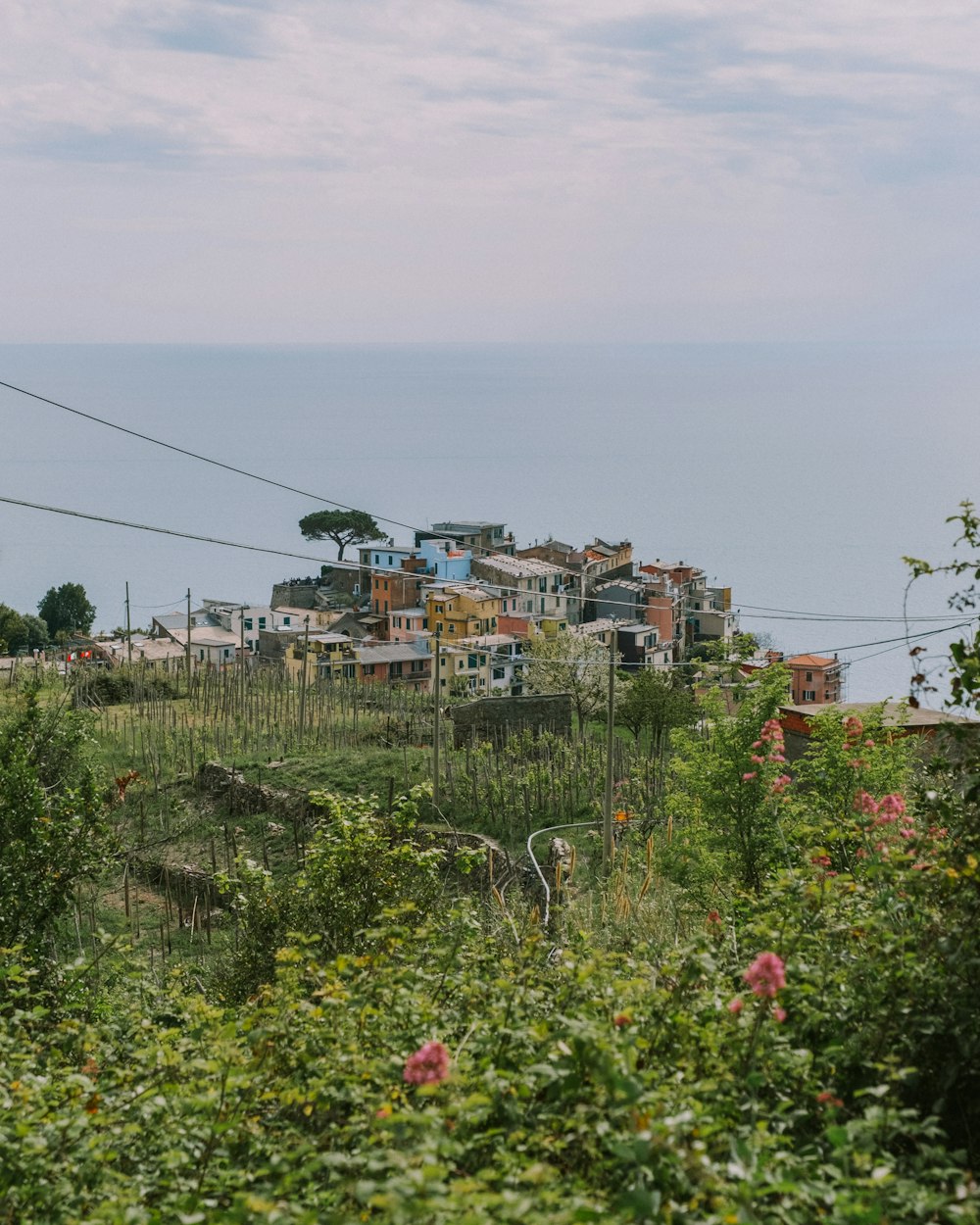 a city with many buildings