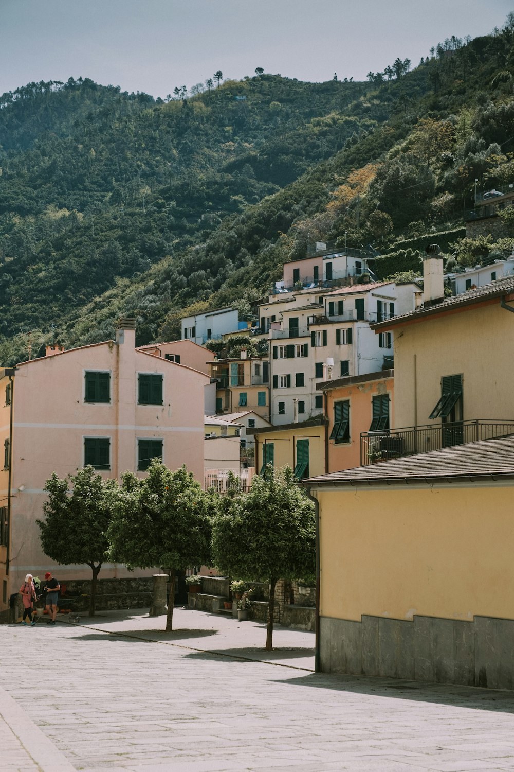 a group of buildings with trees and a hill in the background