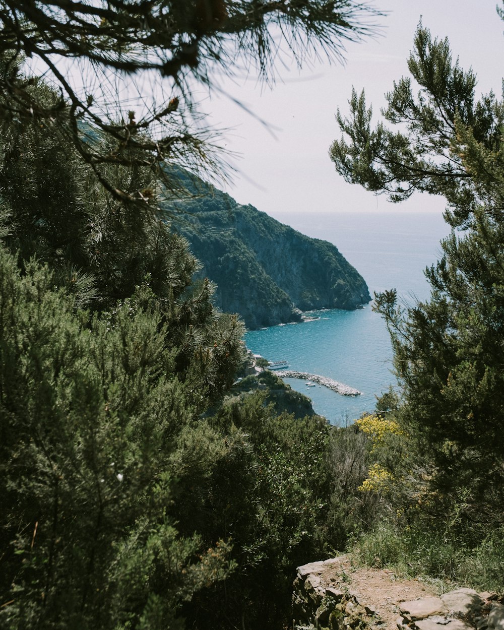 a view of a beach and mountains