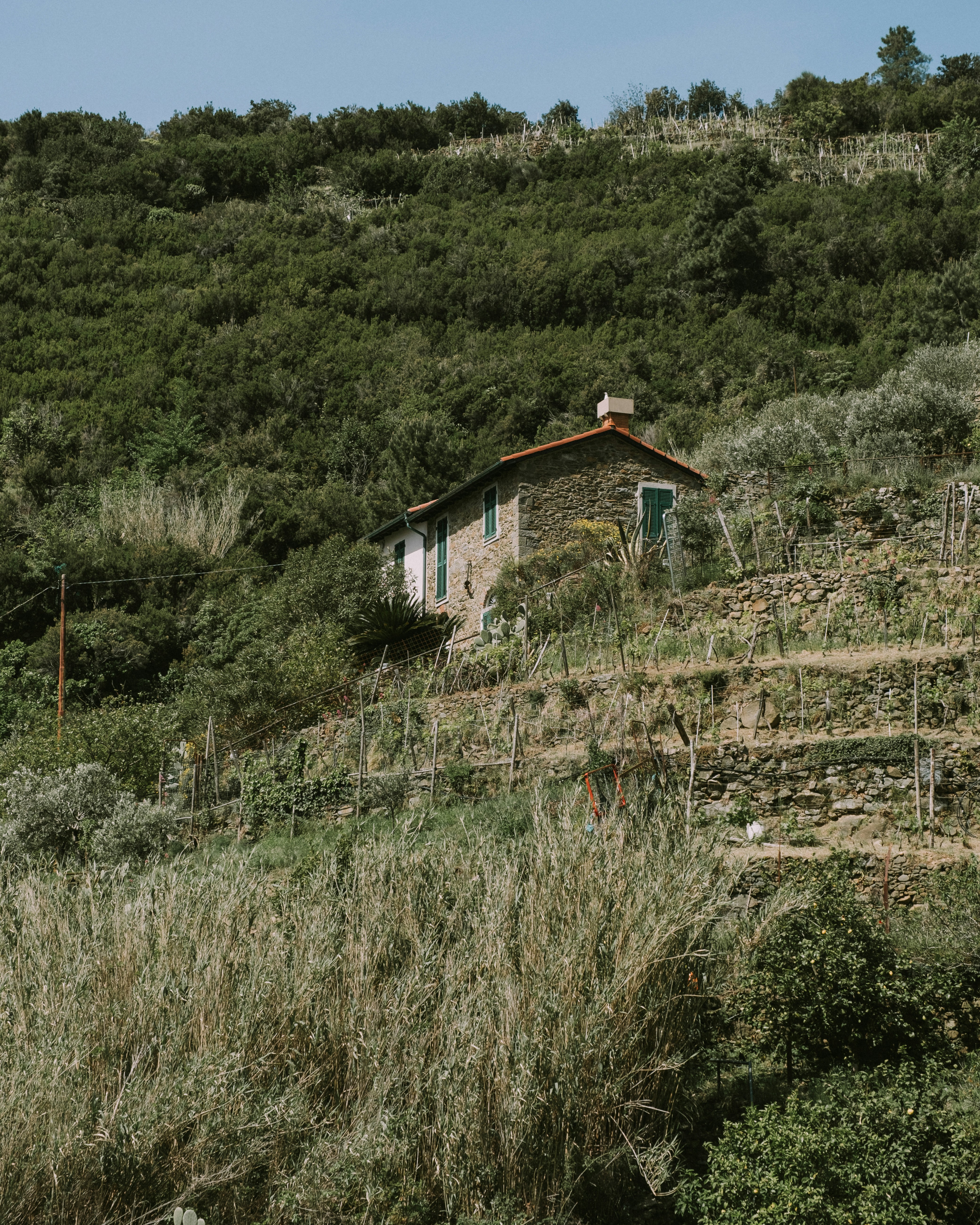 a house in the middle of a forest