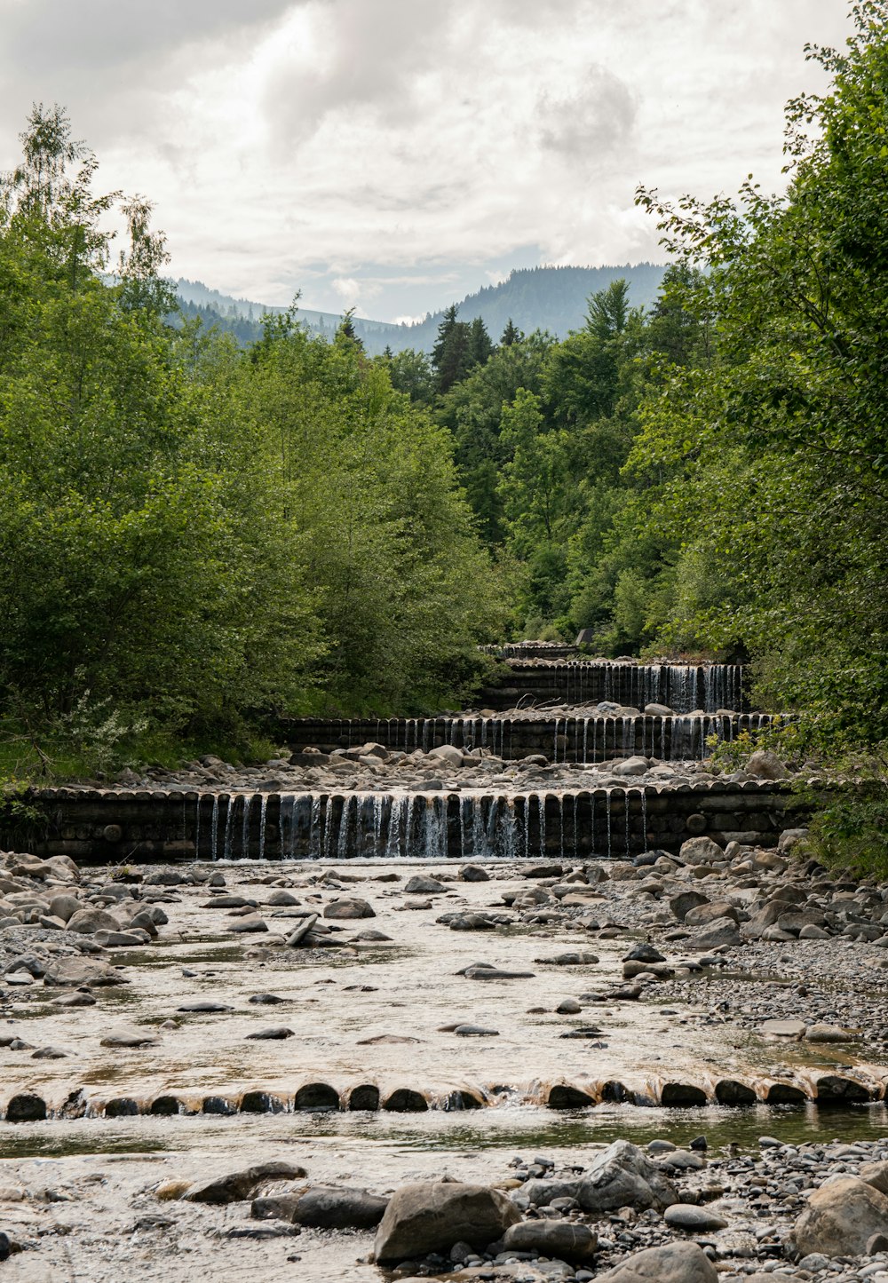 a river with a bridge and trees