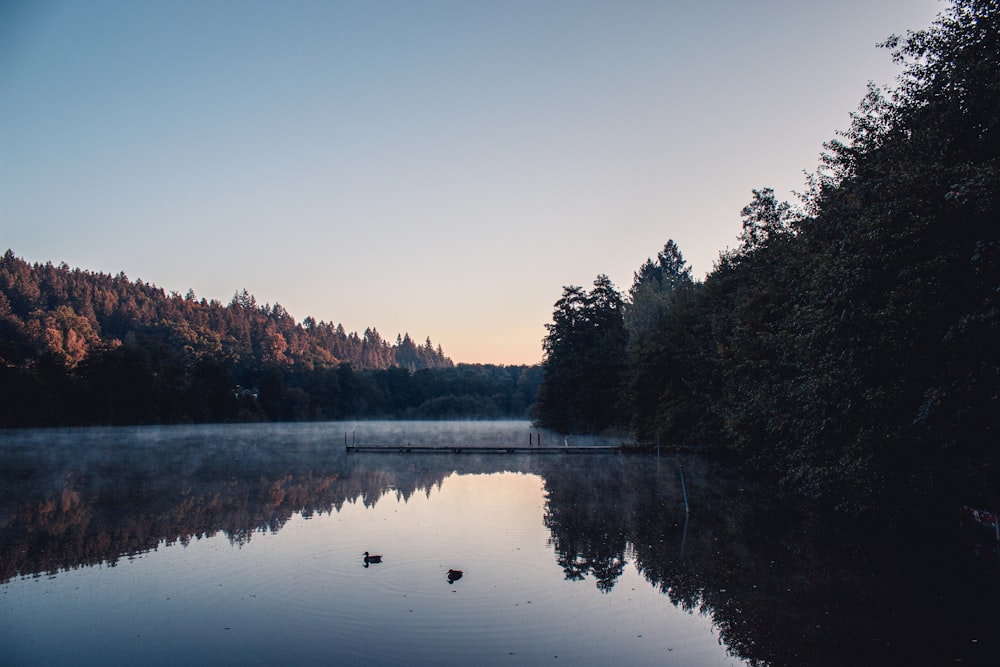 a lake with trees around it