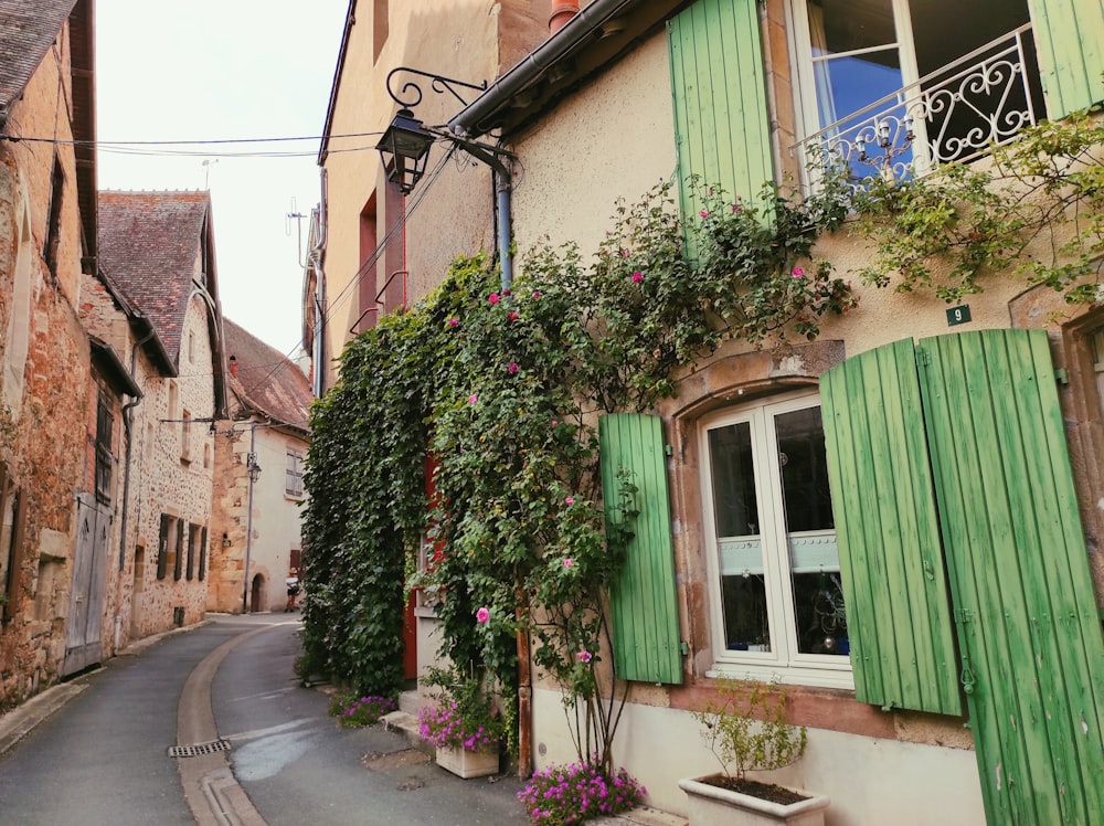 a row of houses with green shutters and a green curtain