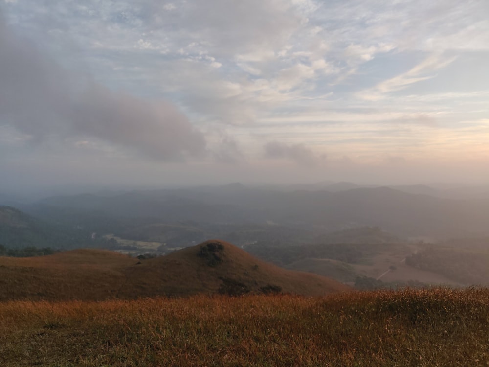 Ein grasbewachsener Hügel mit Nebel