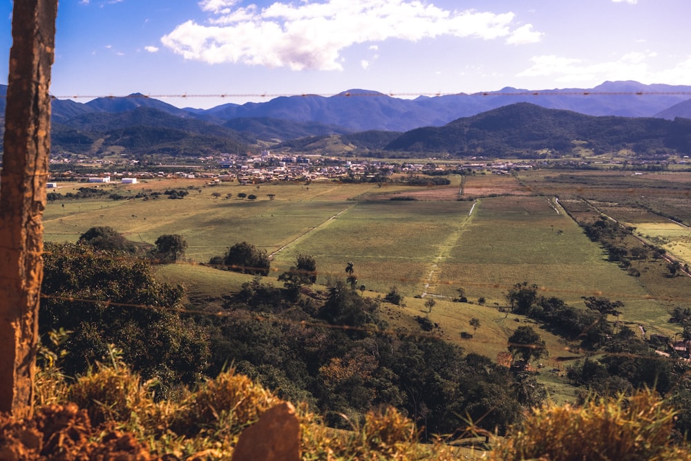 a field with a mountain in the background