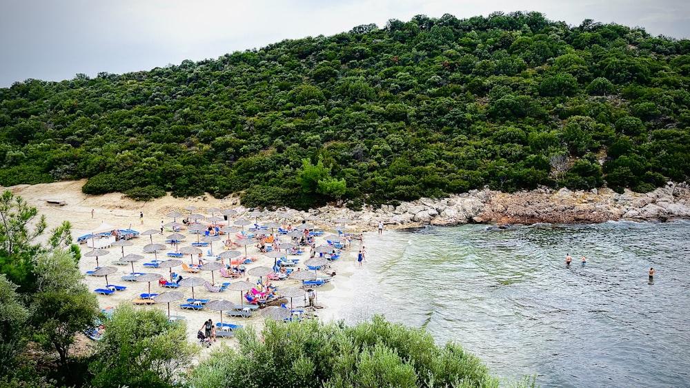 a beach with people and trees