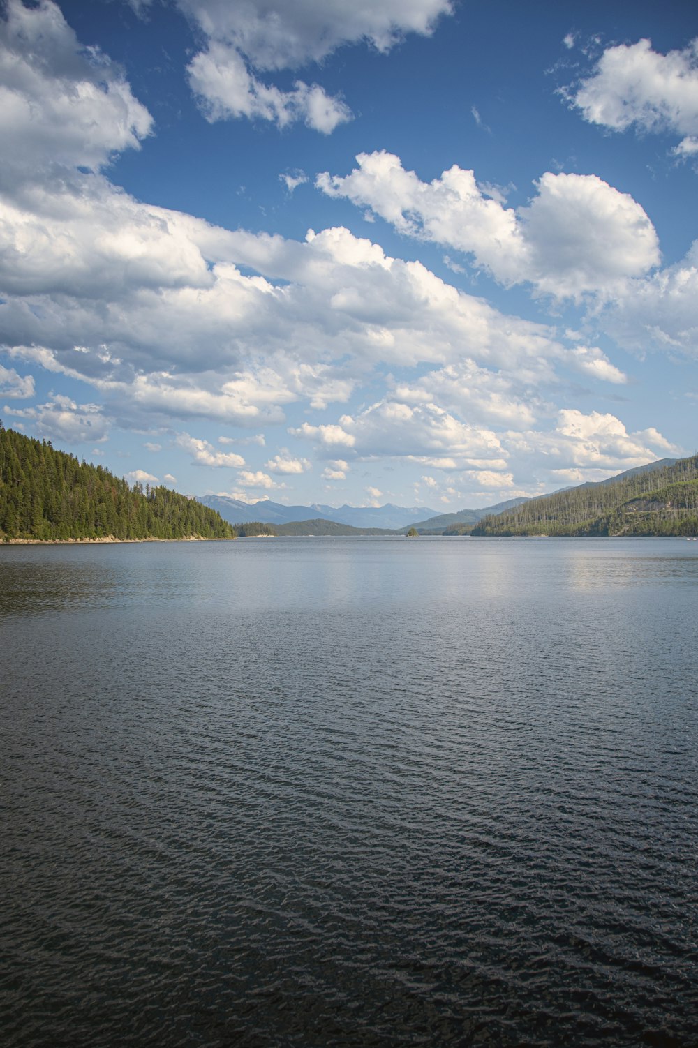 a body of water with trees and hills in the background