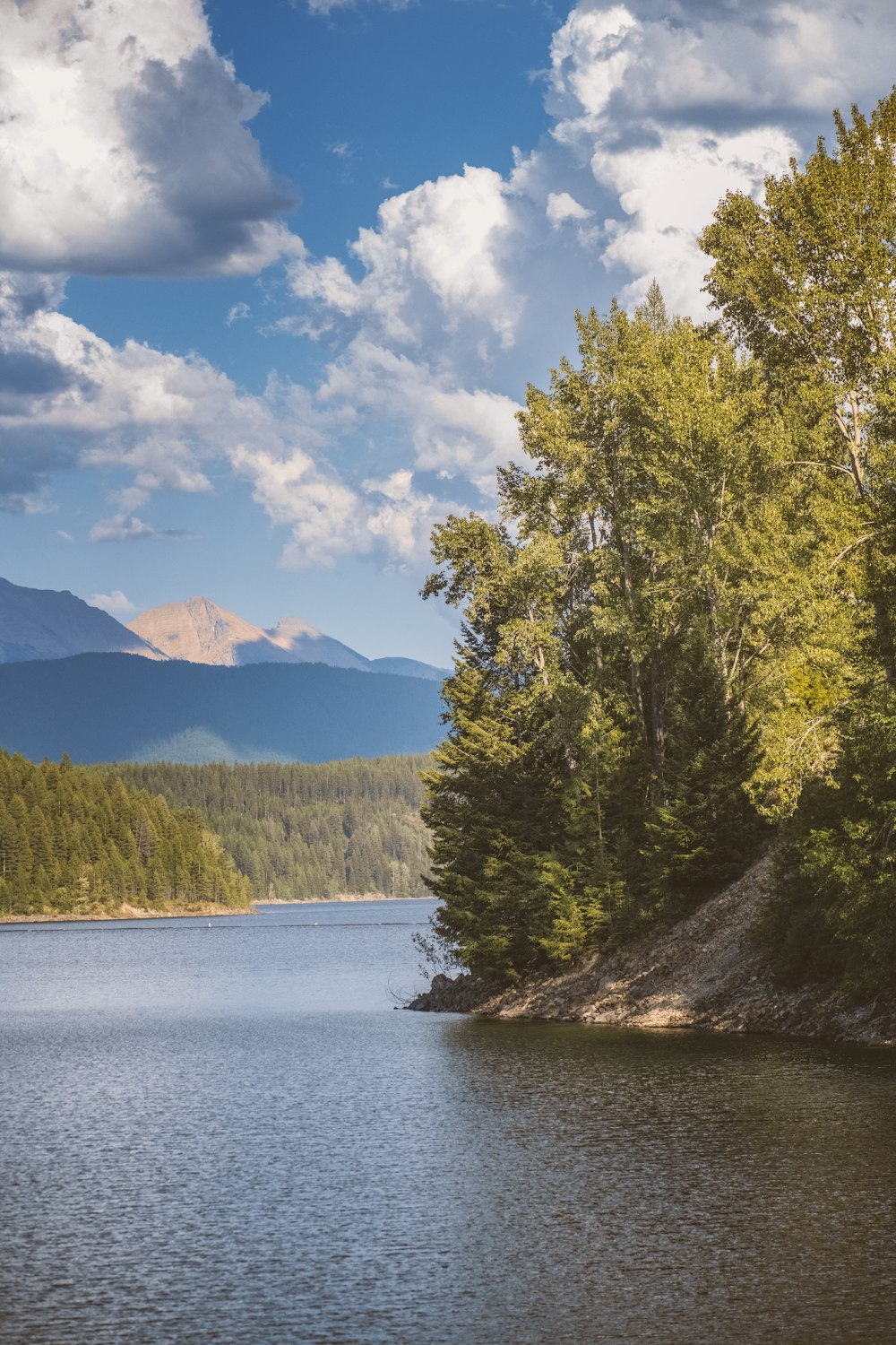 a river with trees and mountains in the background