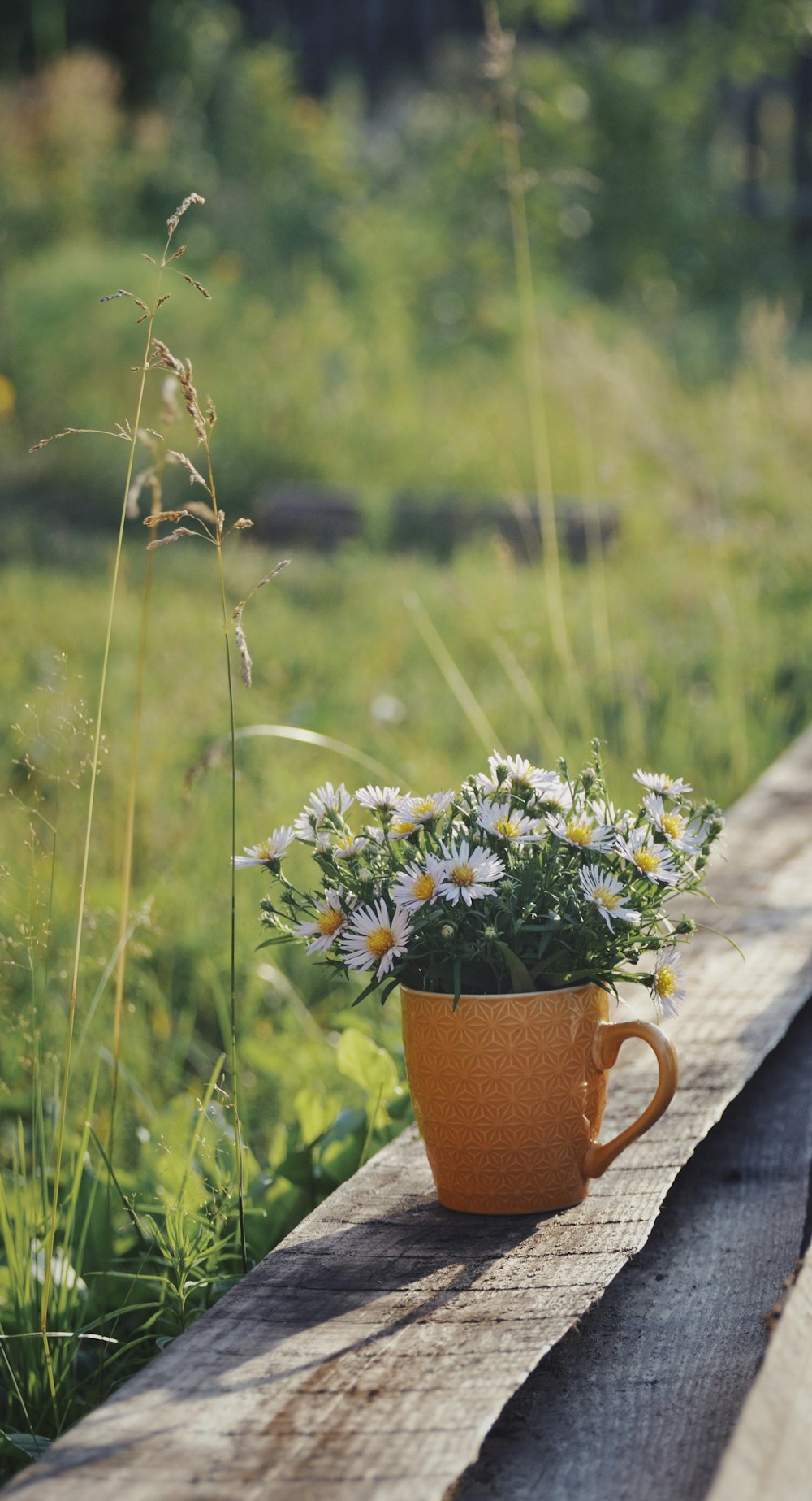 a cup of flowers on a bench