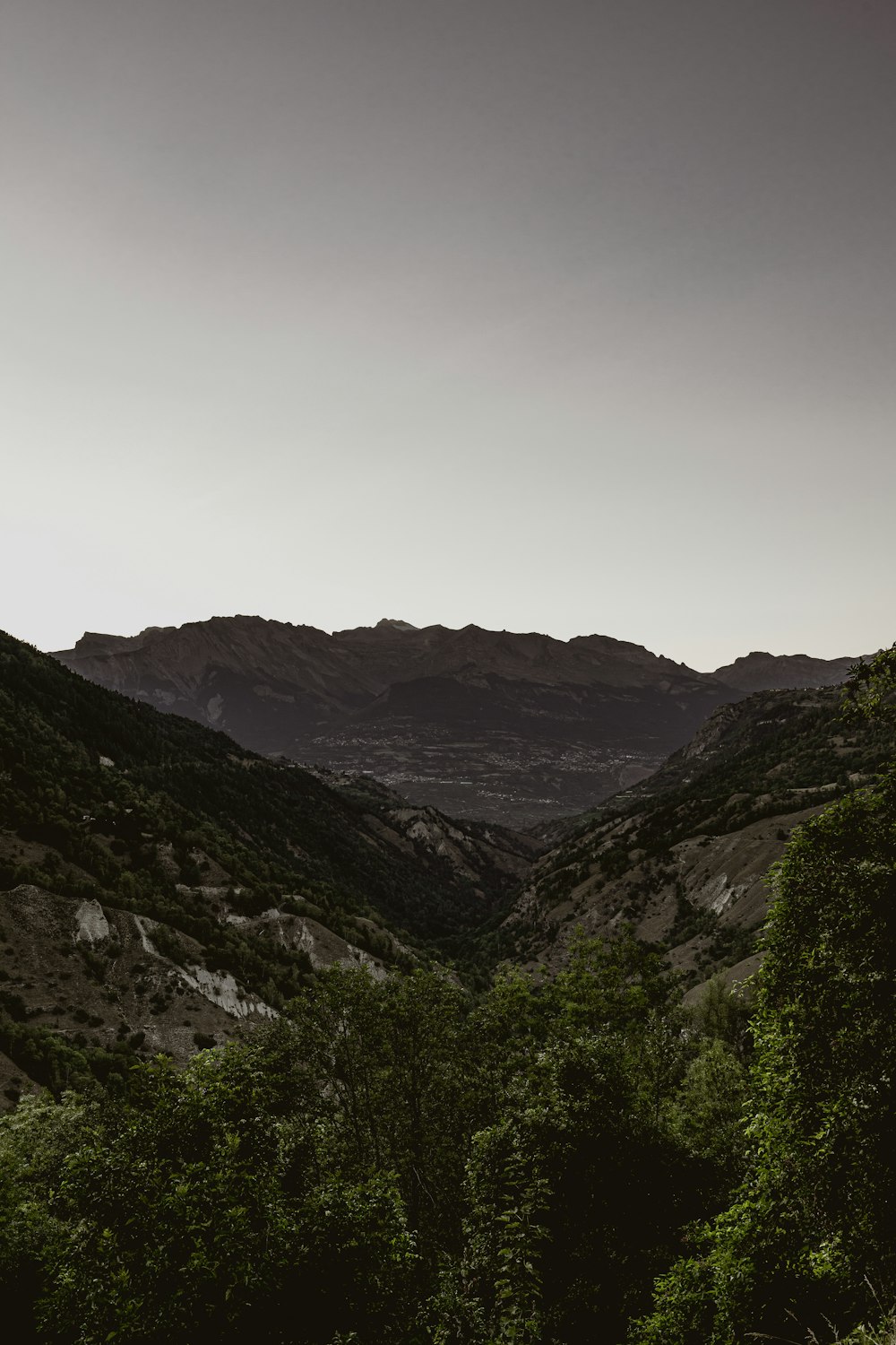 a landscape with trees and mountains