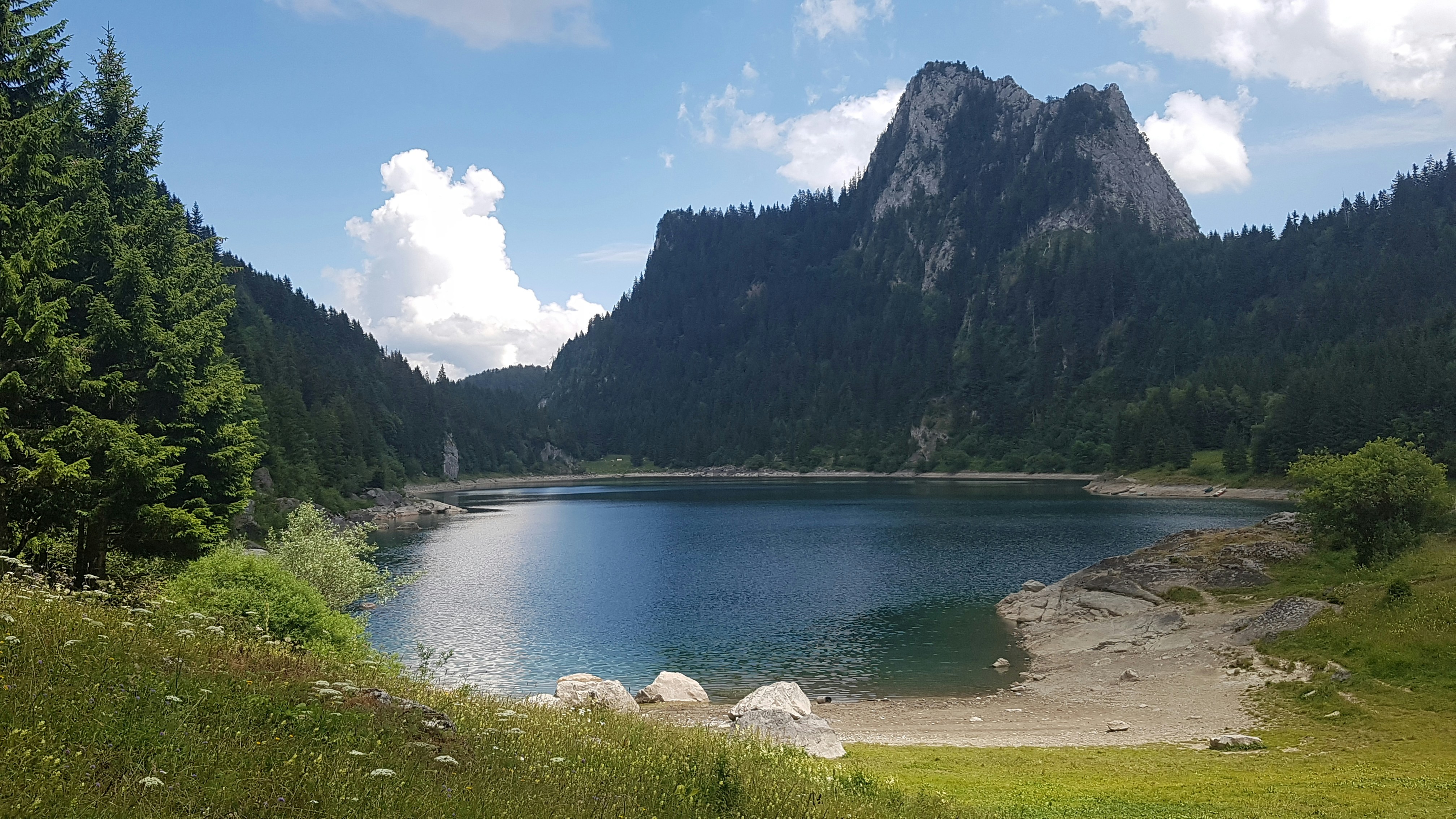 un lac entouré d’arbres et de montagnes