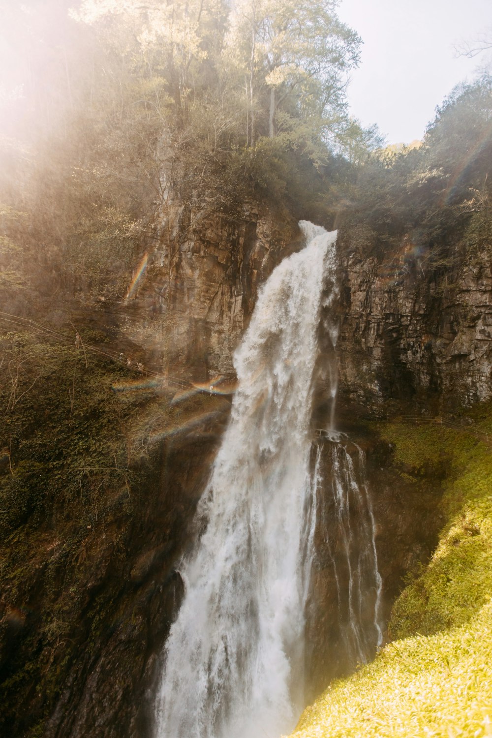 a waterfall in a forest