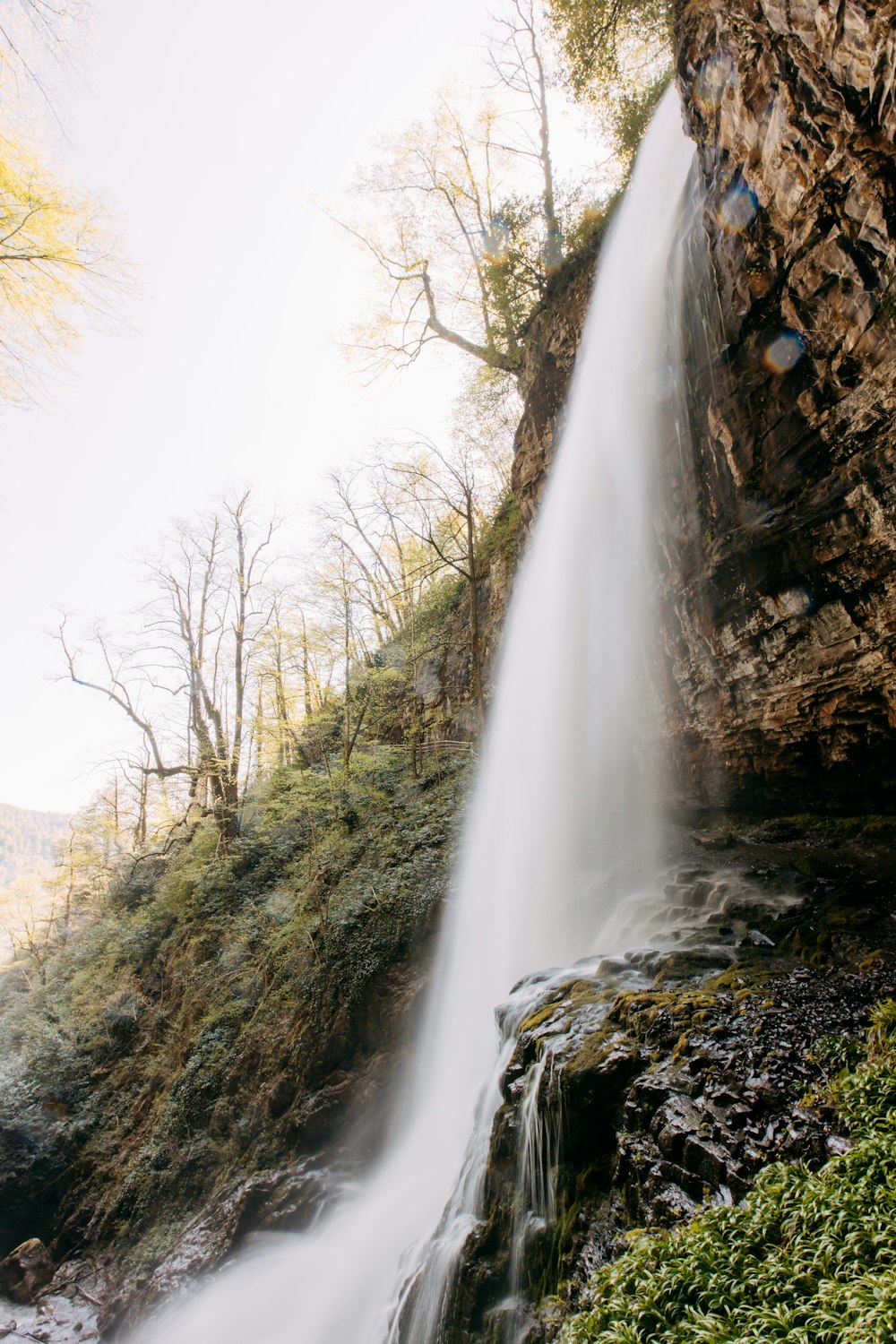 a waterfall with trees on the side