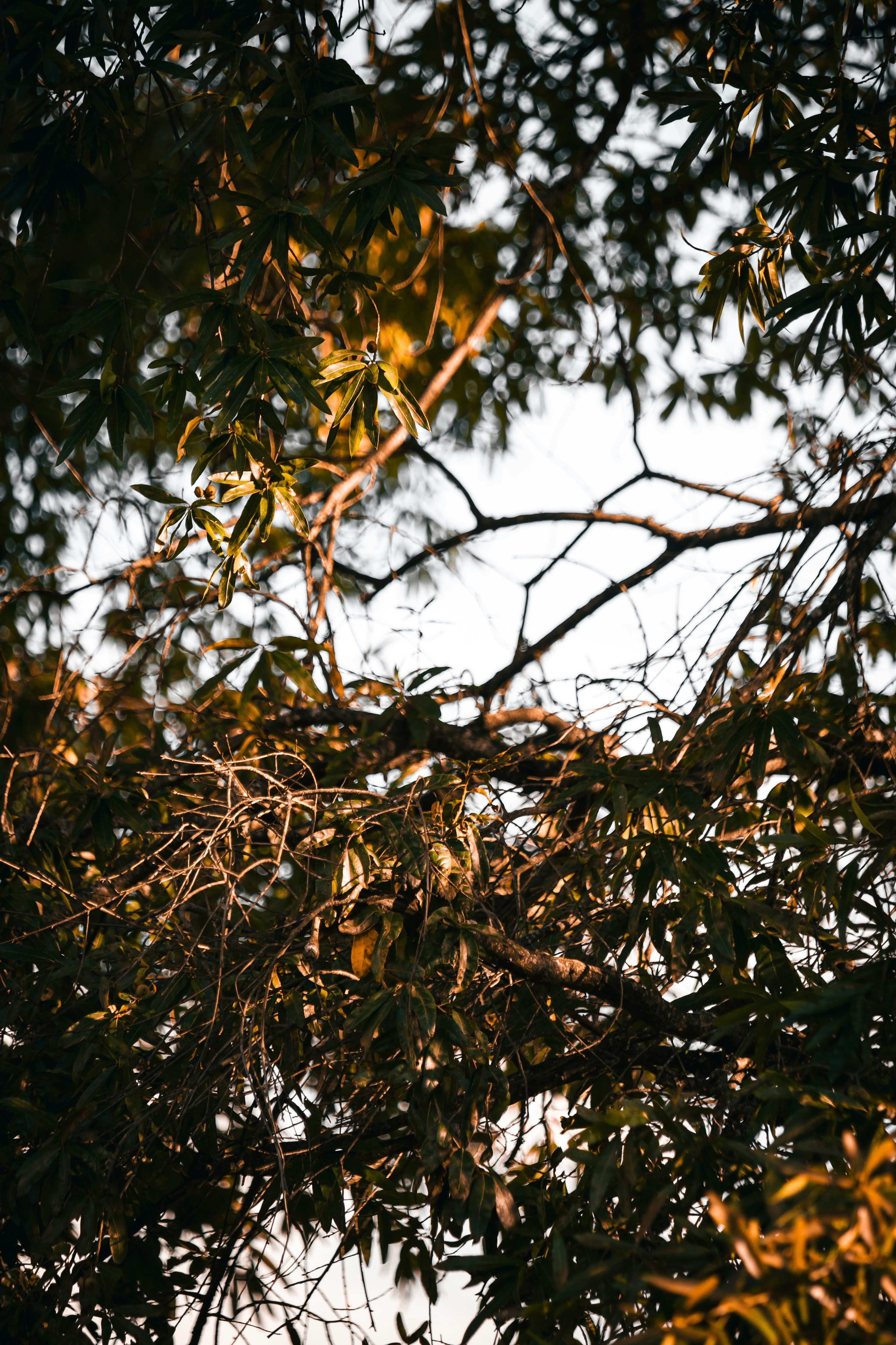 Photo by brice_cooper18