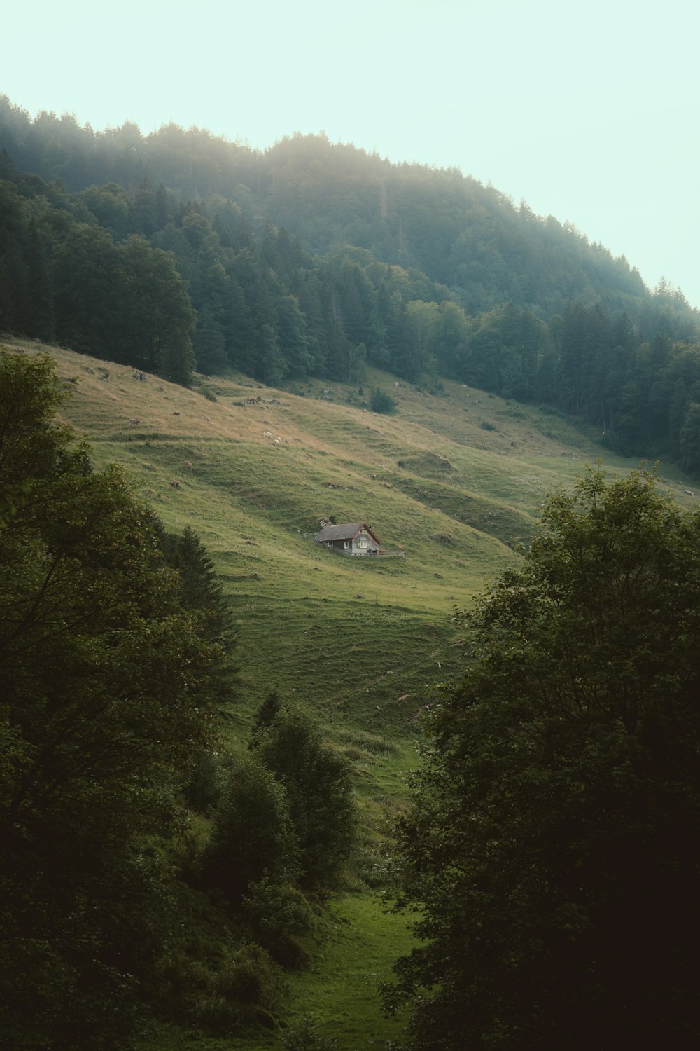 a house on a hill
