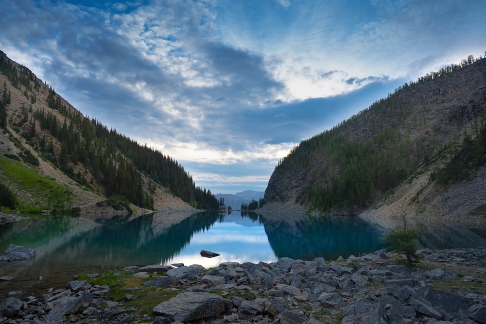 a river with rocks and trees