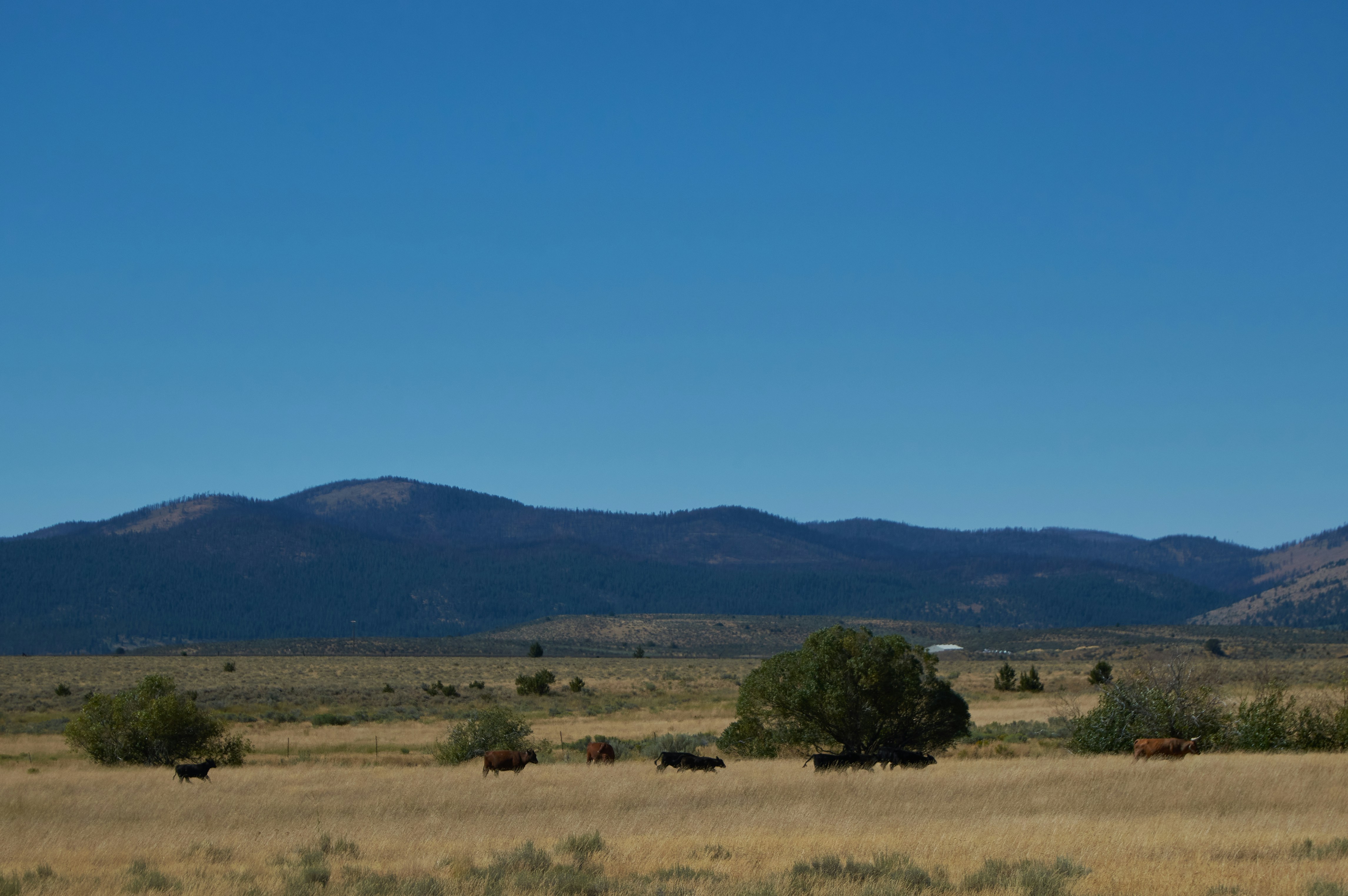 Photo by juicetakesphotos