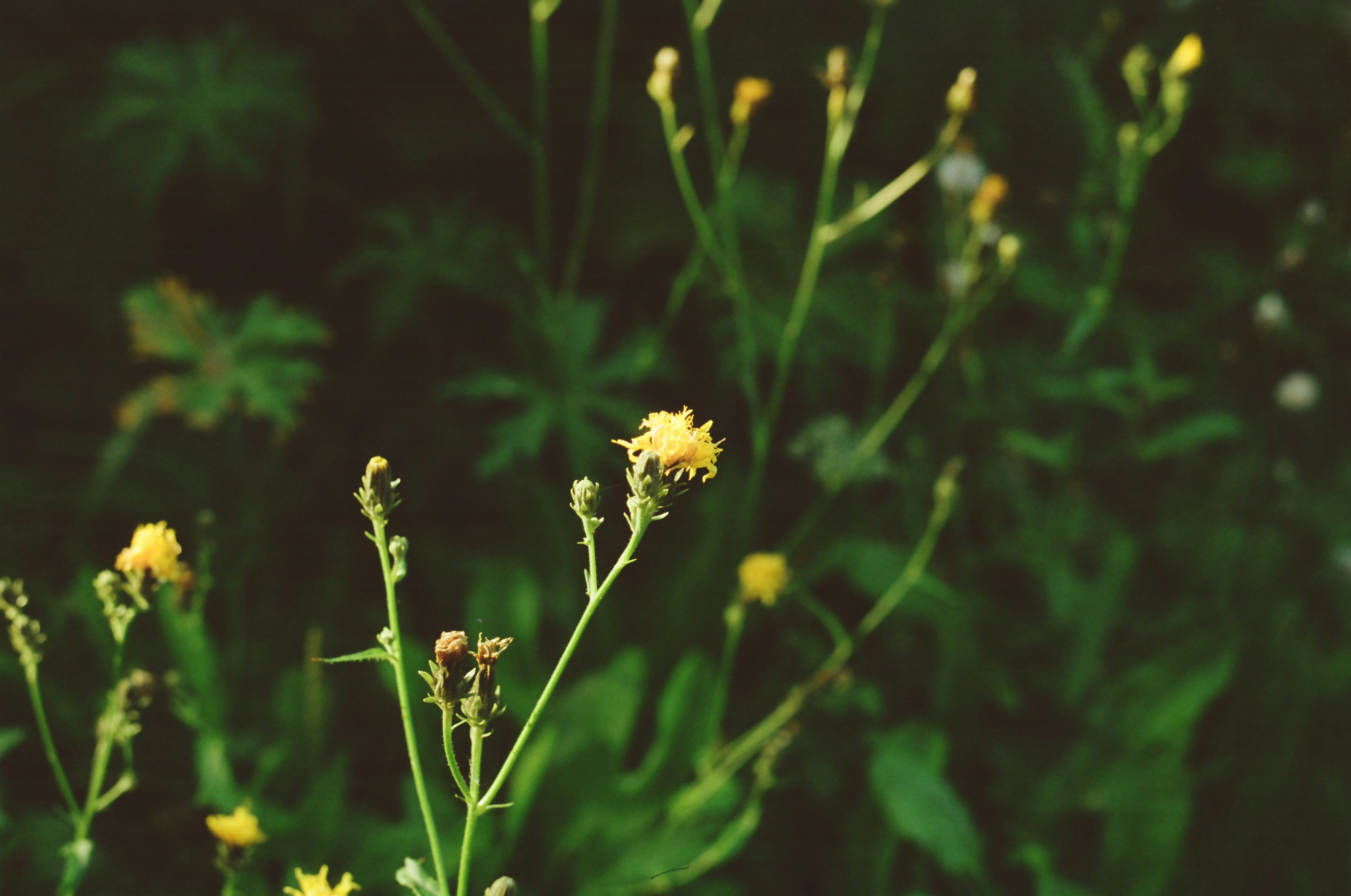 Photo by ivasyk_maryan25