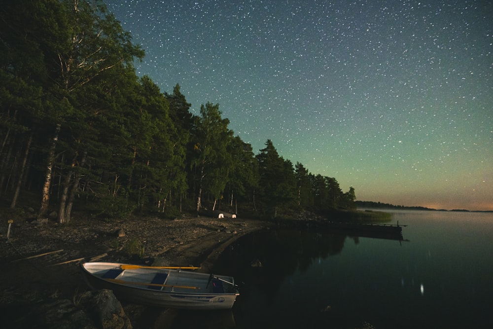 a boat on a lake with trees and stars in the sky