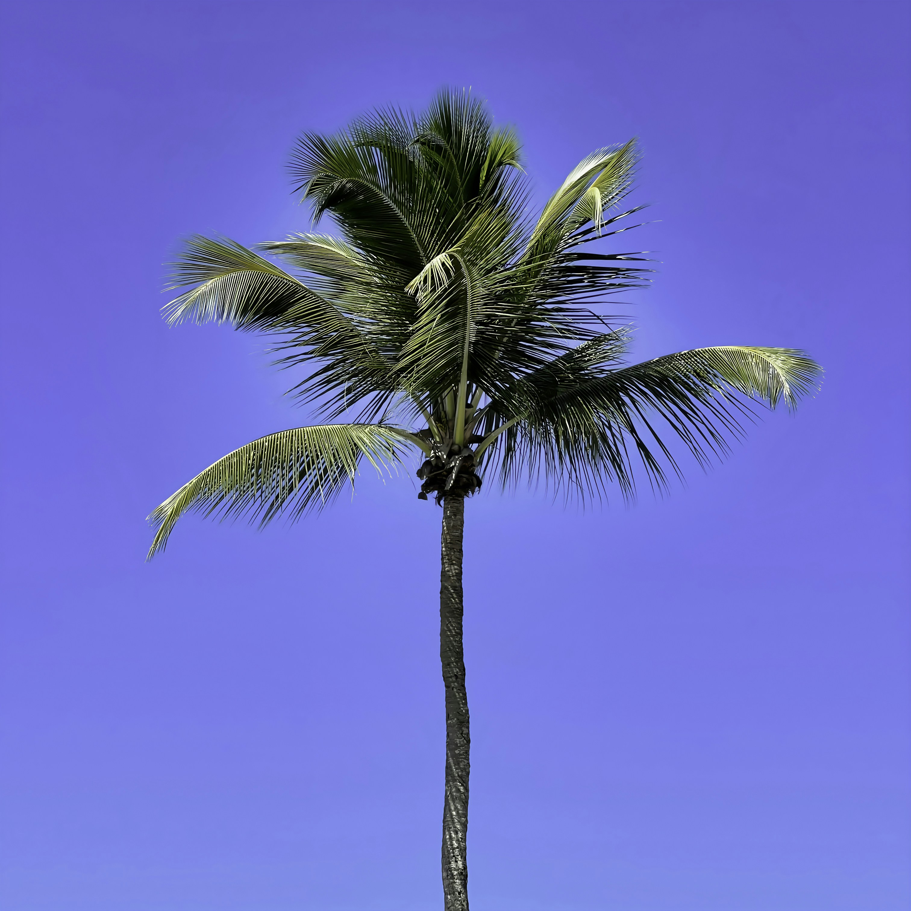 Photo by discoverchoc