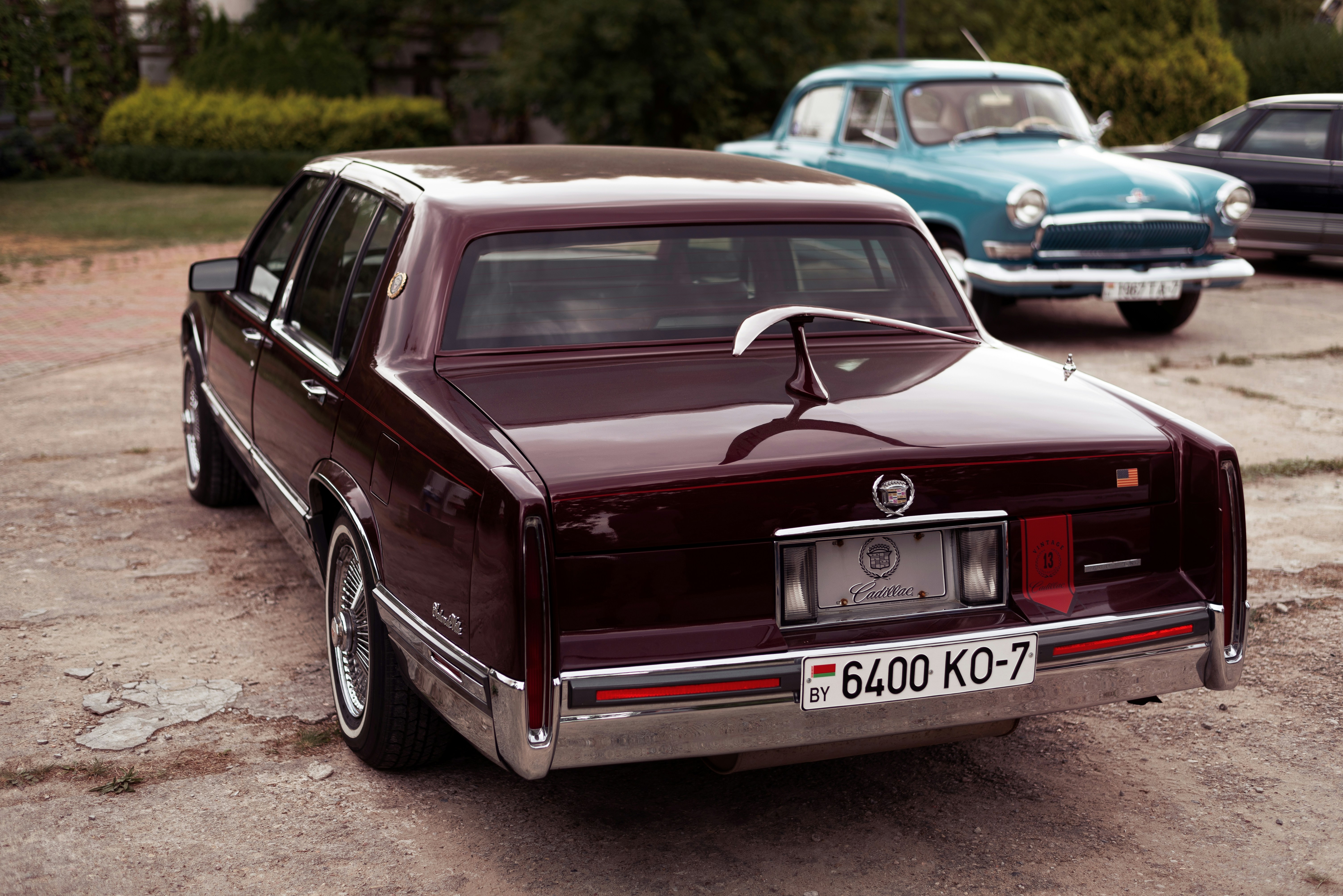 Photo by vadutskevich