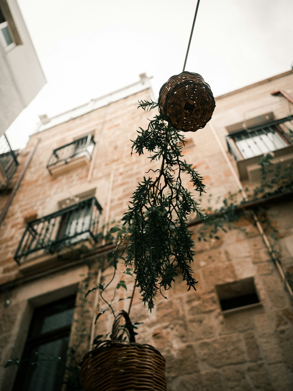 a basket from a building