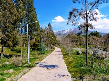 A scenic pathway runs through a lush park, flanked by tall trees on both sides. The path is paved with stones and leads towards a snow-capped mountain visible in the distance. The setting is bright and sunny, with a clear blue sky and a few scattered clouds.