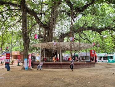 Tourists laughing and chatting while taking a break under a large banyan tree.