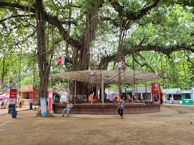 Spiritual discourse being held under a large banyan tree.